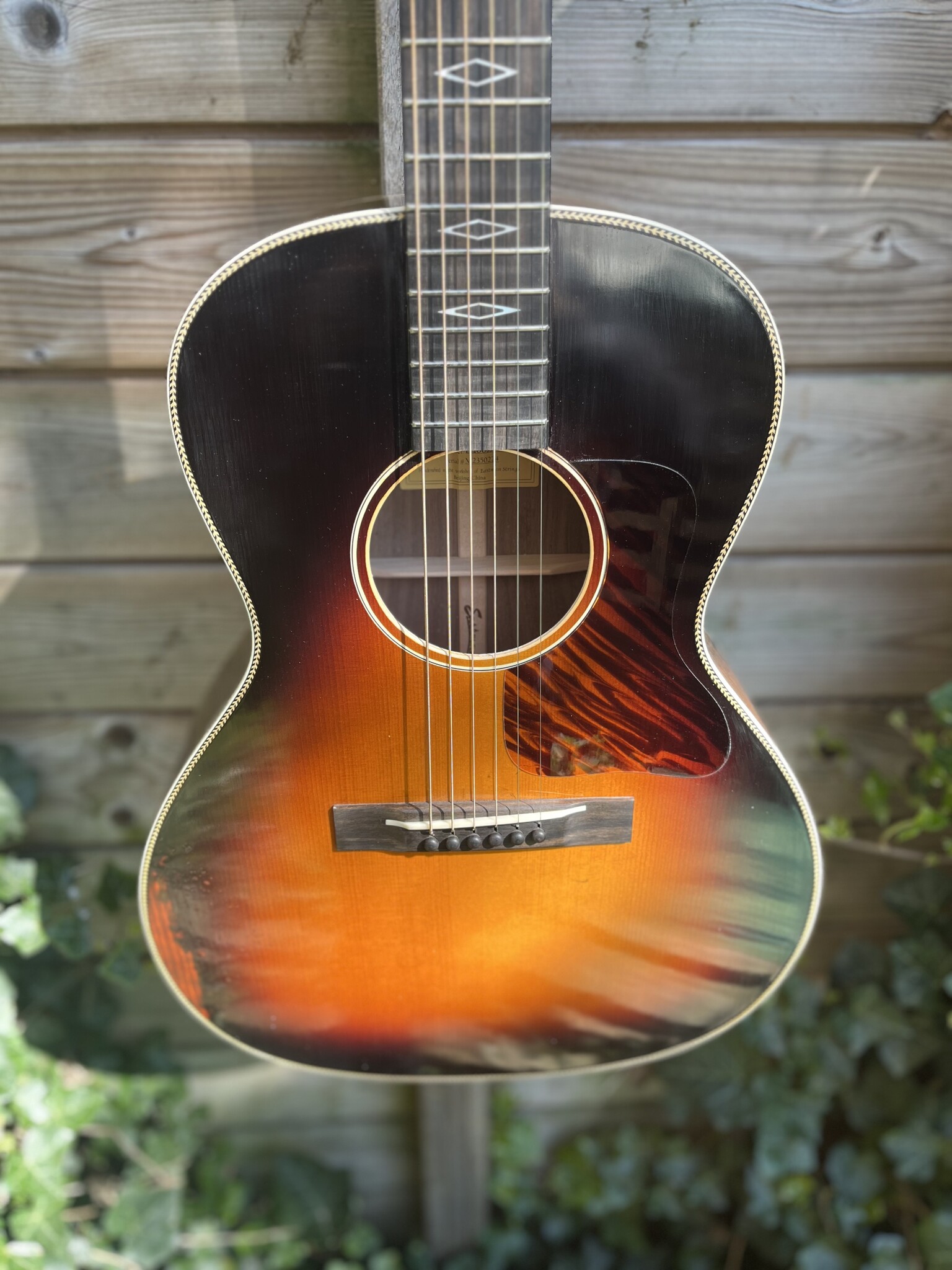 Eastman Eastman E22-00-SS/V-SB