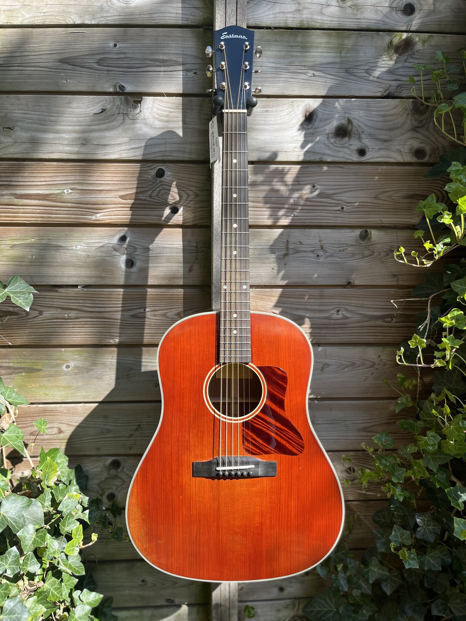 Eastman Eastman E10SS/V (#...367)