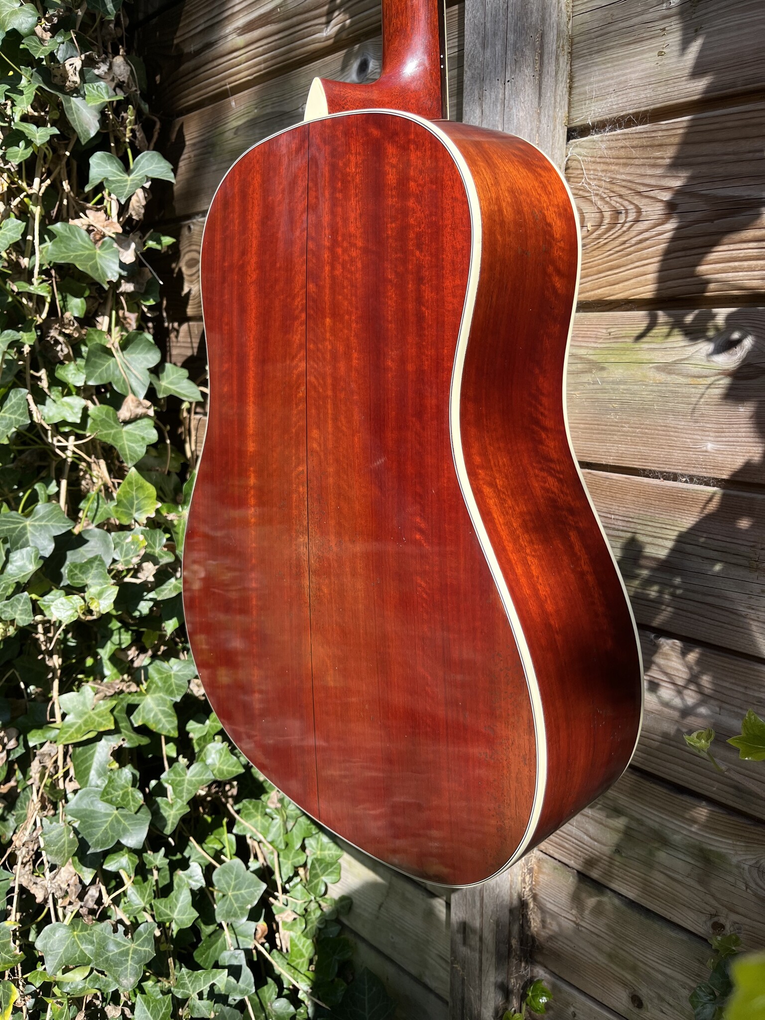 Eastman Eastman E10SS/V (#...367)