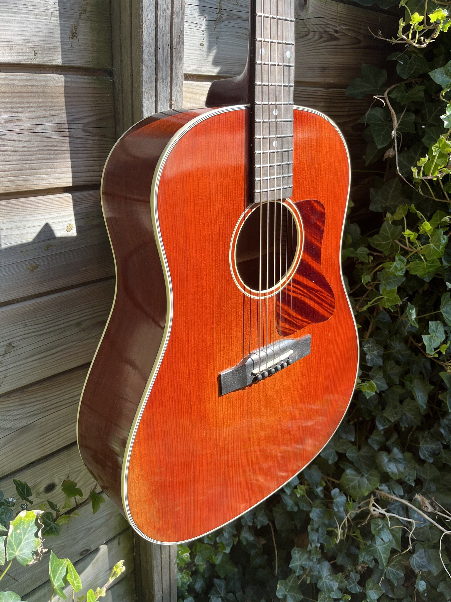 Eastman Eastman E10SS/V (#...367)