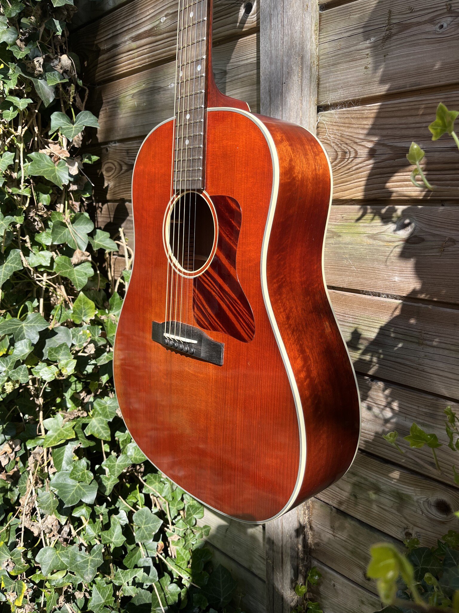 Eastman Eastman E10SS/V (#...367)