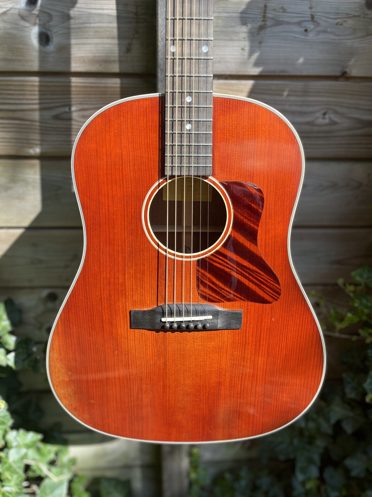 Eastman Eastman E10SS/V (#...367)