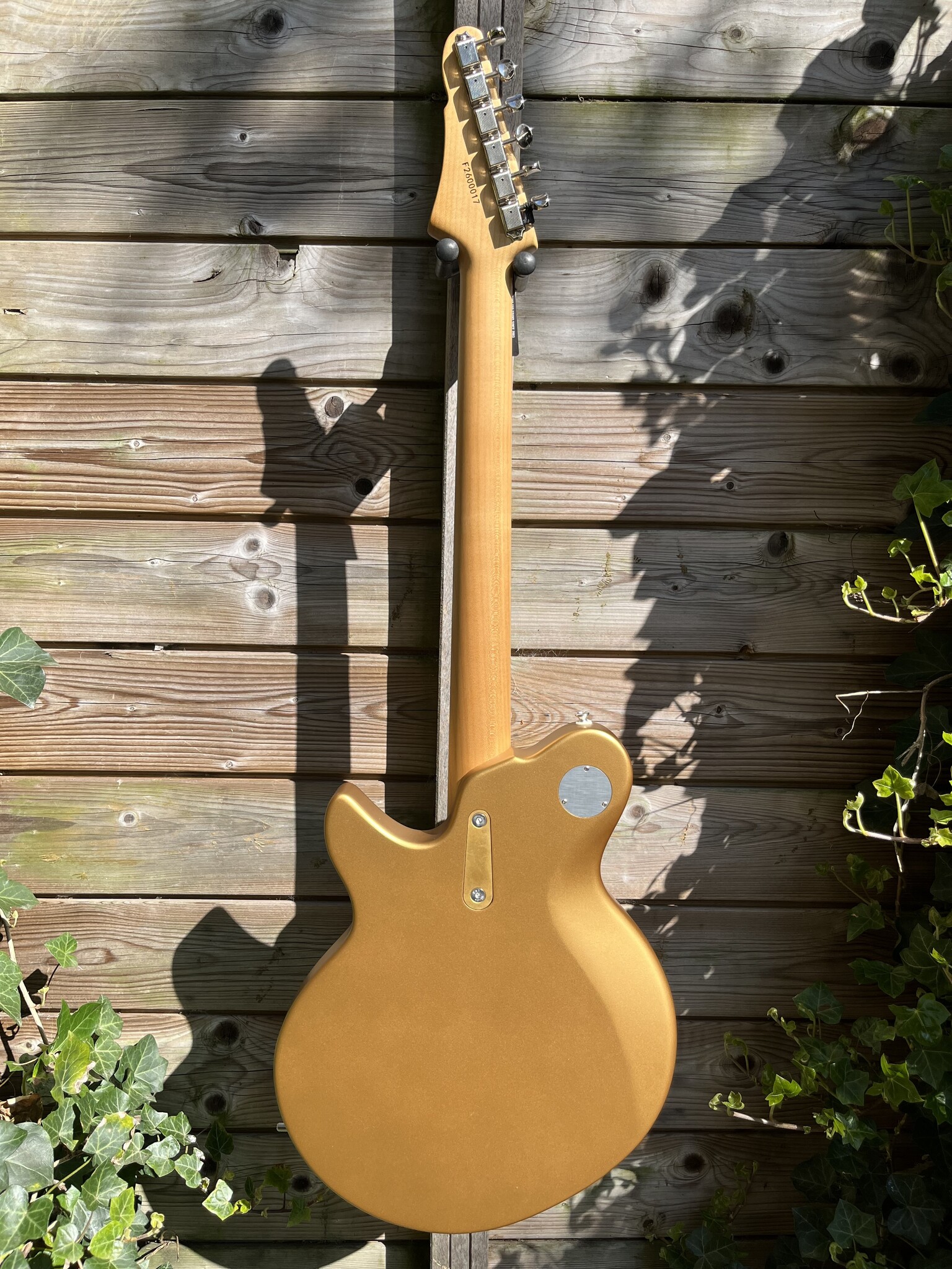 Eastman Eastman FullerTone Offset'62 Gold