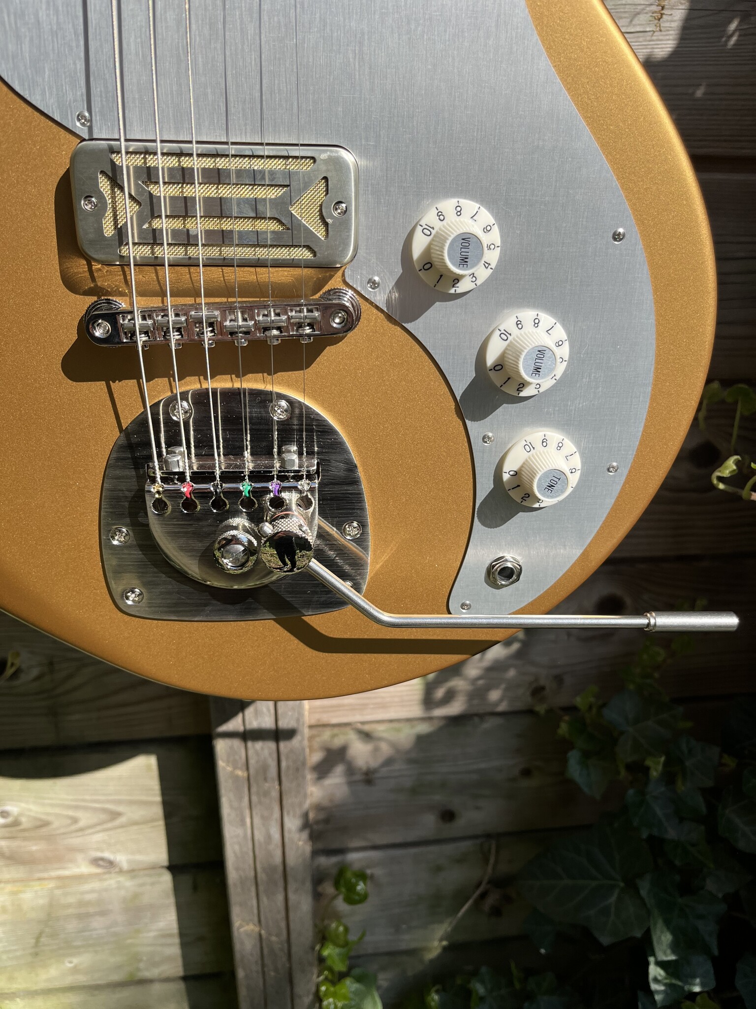 Eastman Eastman FullerTone Offset'62 Gold