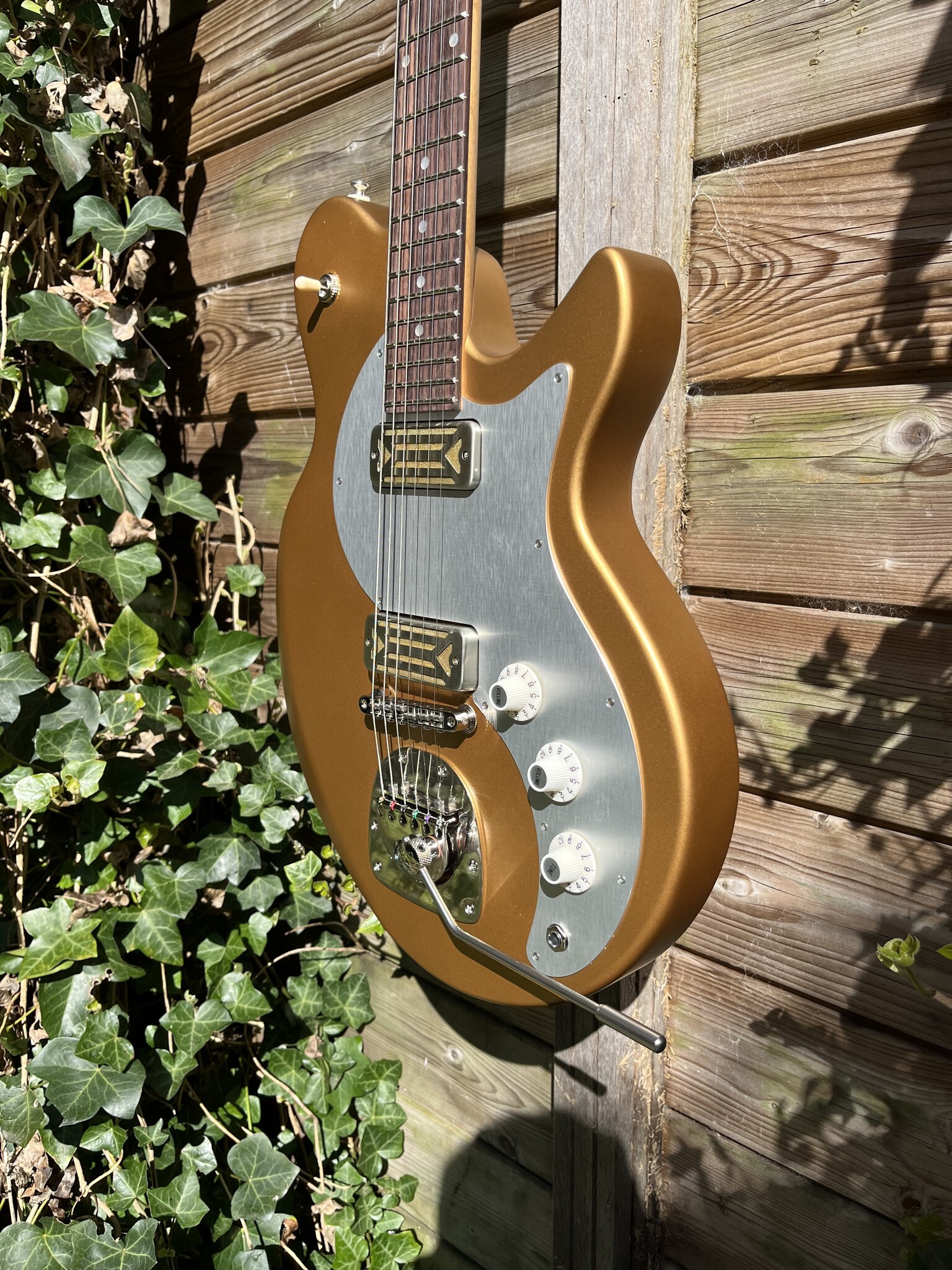 Eastman Eastman FullerTone Offset'62 Gold