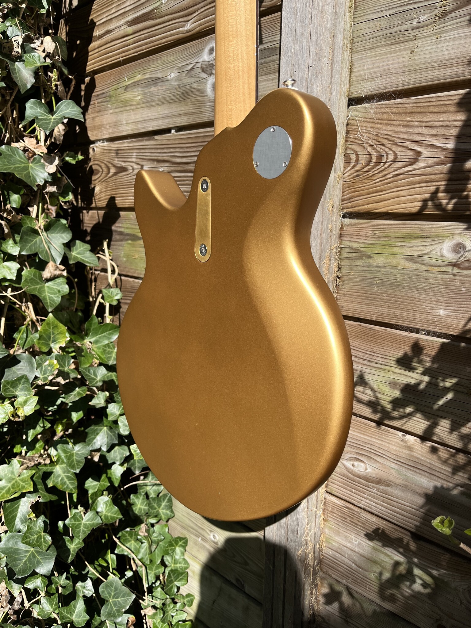 Eastman Eastman FullerTone Offset'62 Gold