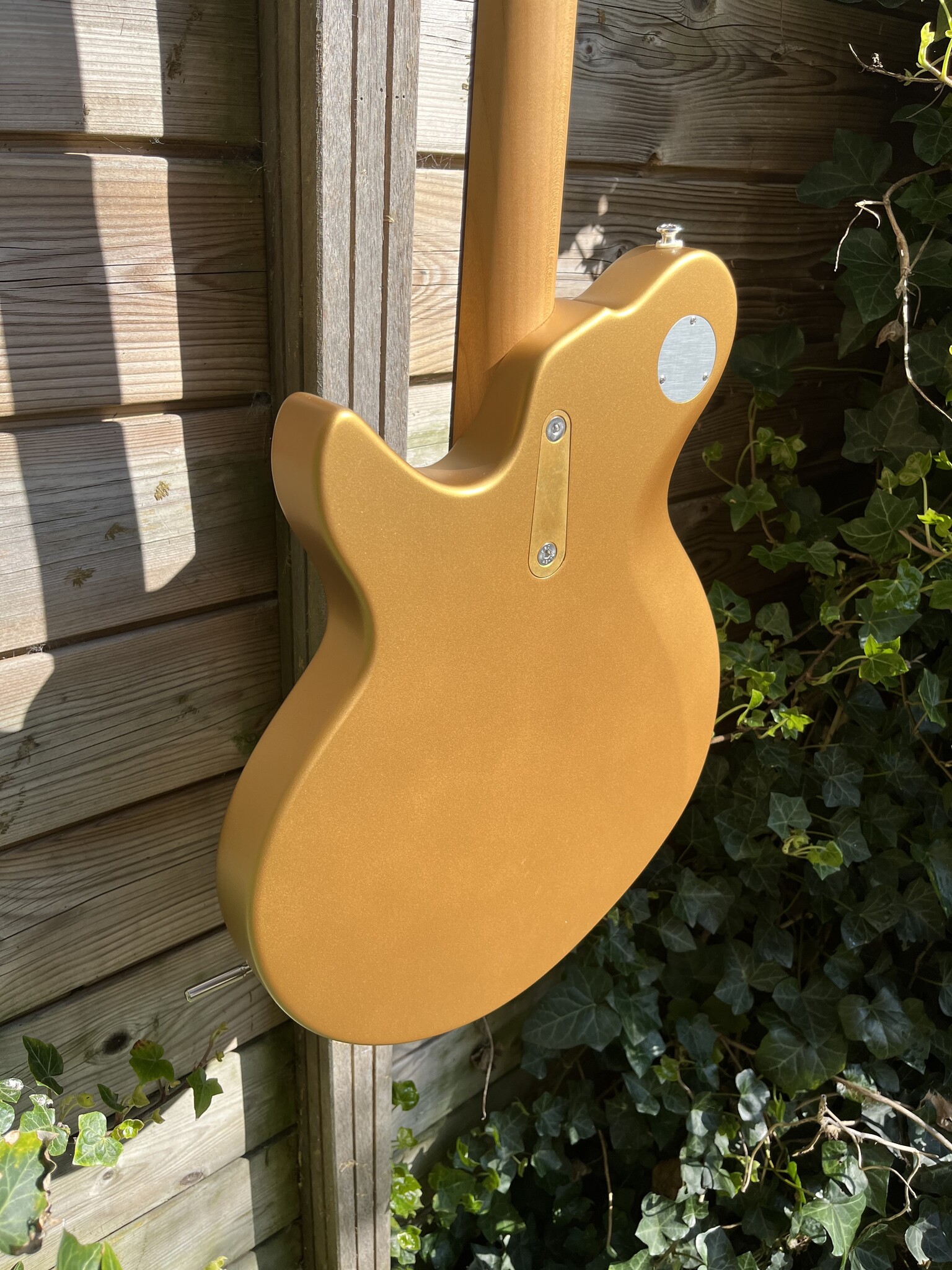 Eastman Eastman FullerTone Offset'62 Gold