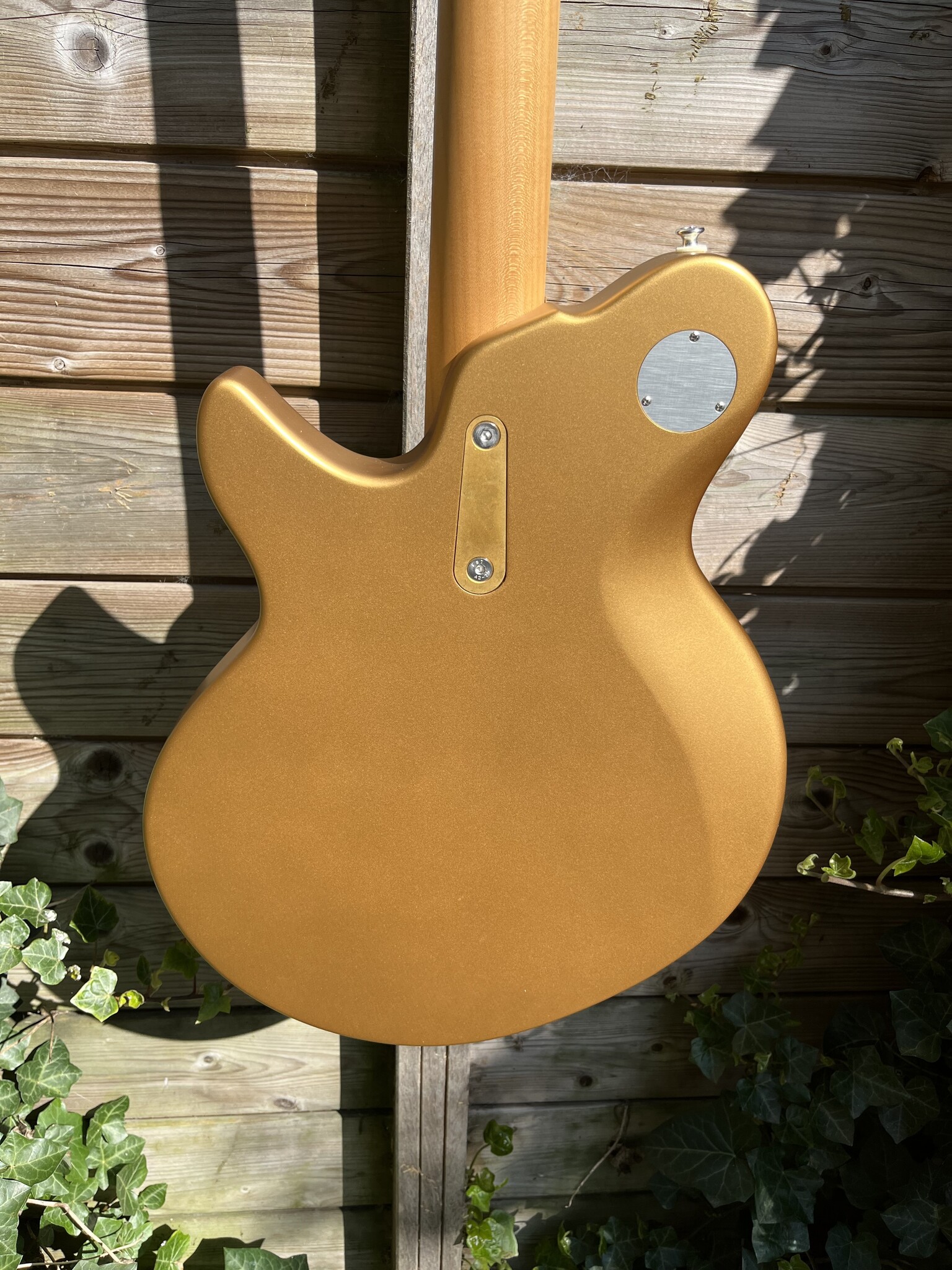 Eastman Eastman FullerTone Offset'62 Gold