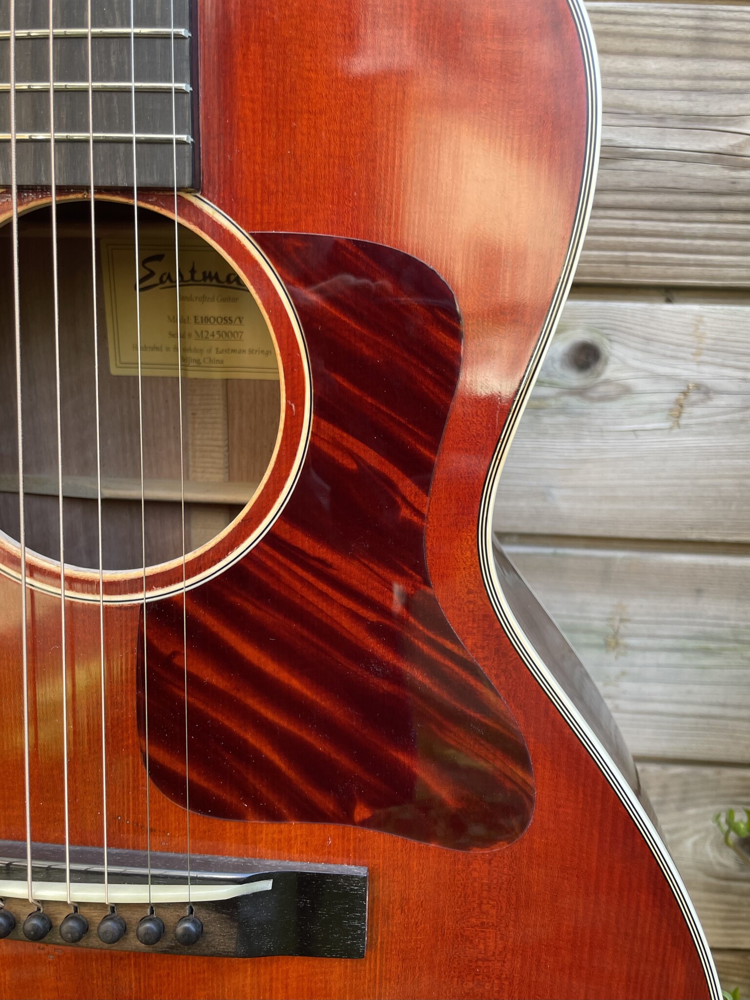 Eastman Eastman E10 00-SS/V (#...007)