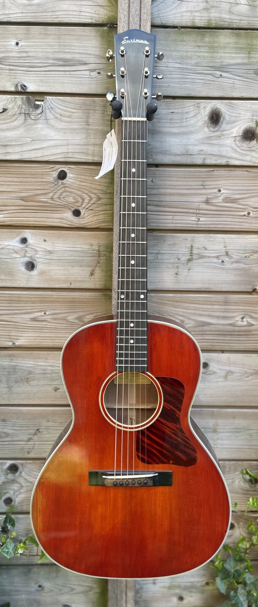 Eastman Eastman E10 00-SS/V (#...007)