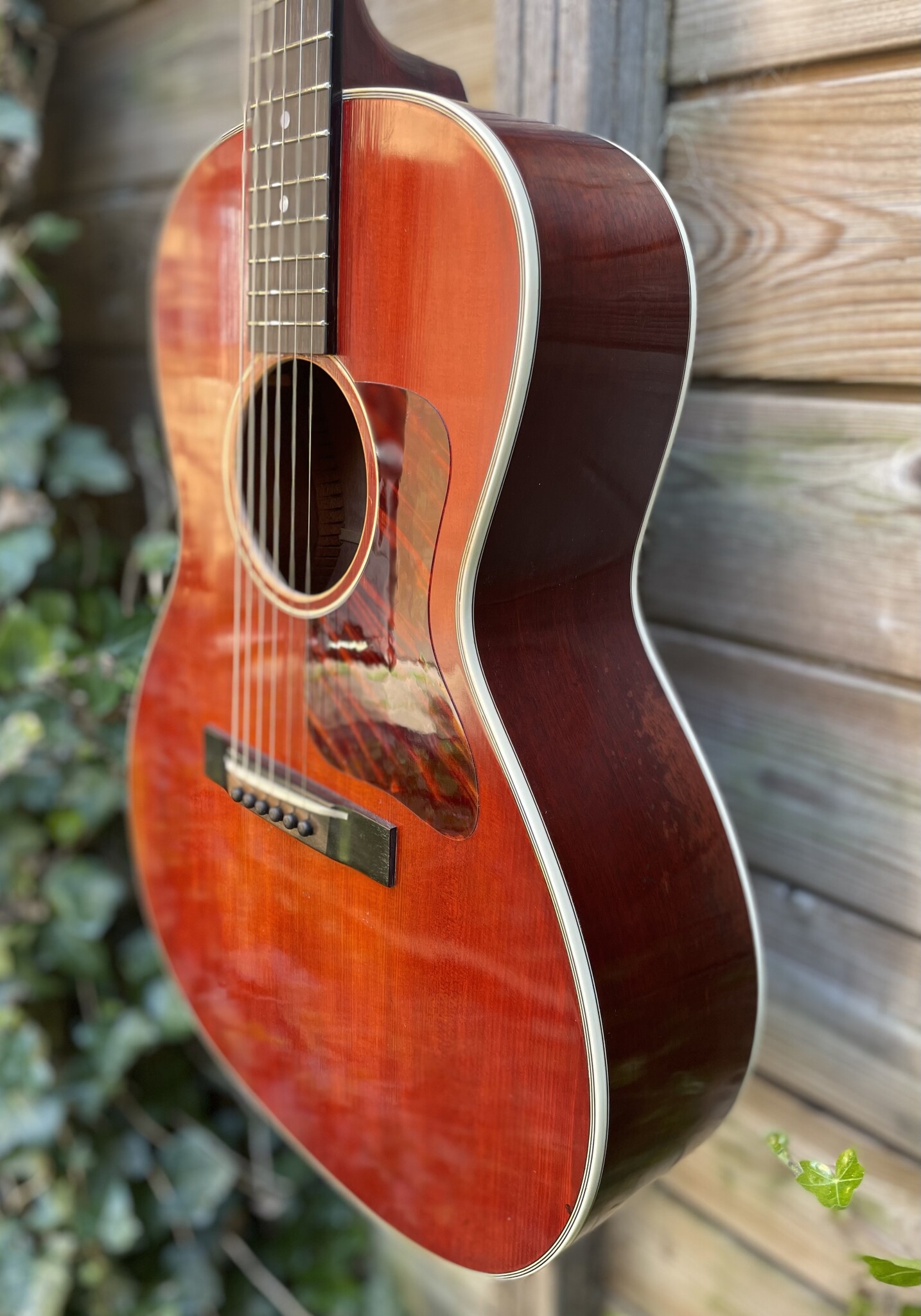 Eastman Eastman E10 00-SS/V (#...007)