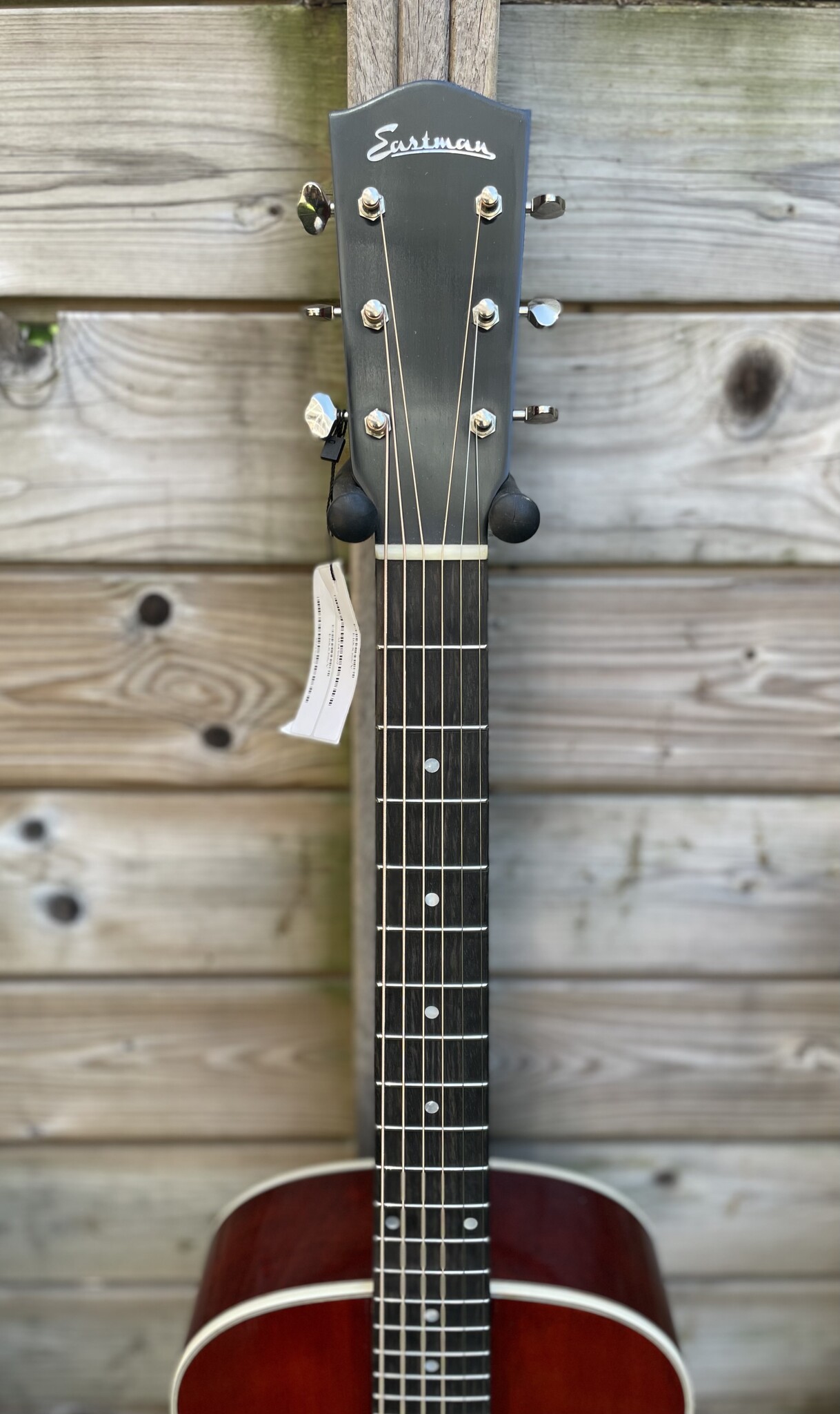 Eastman Eastman E10 00-SS/V (#...007)