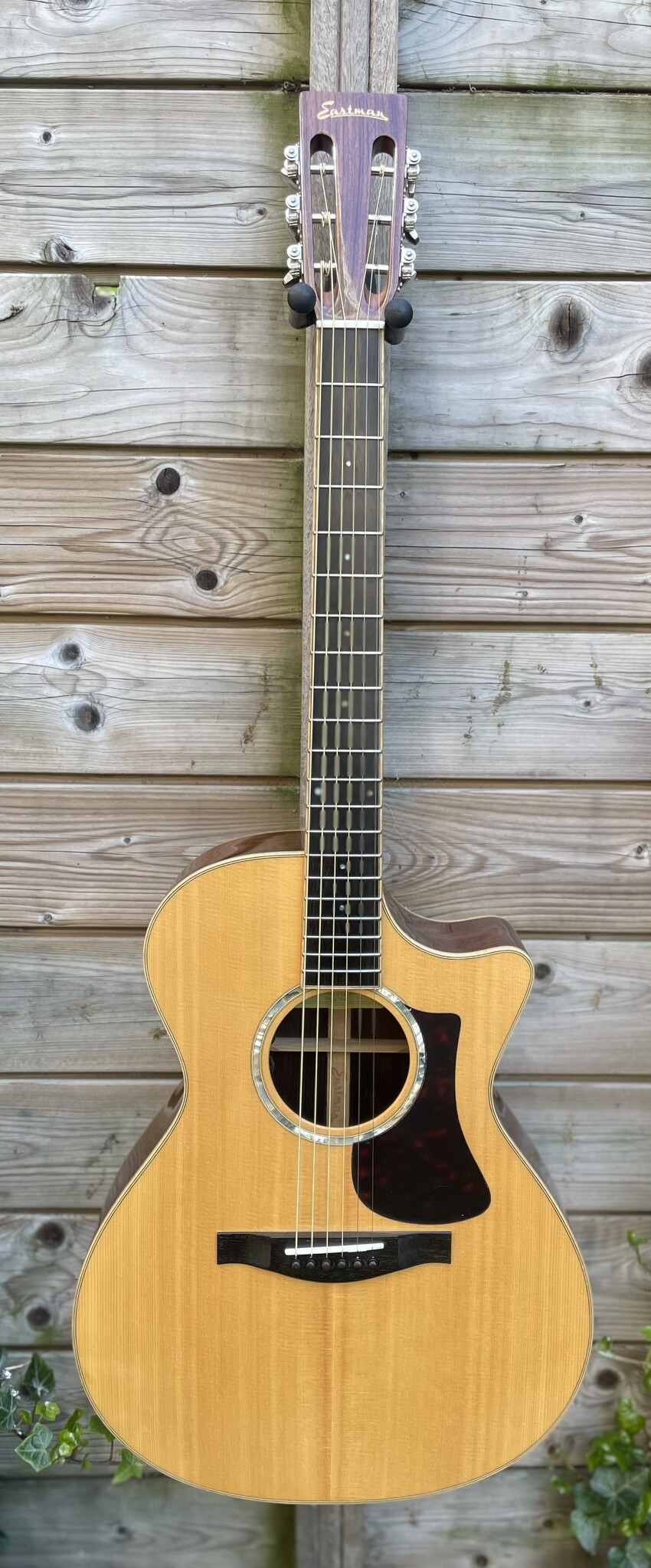 Eastman Eastman AC808CE