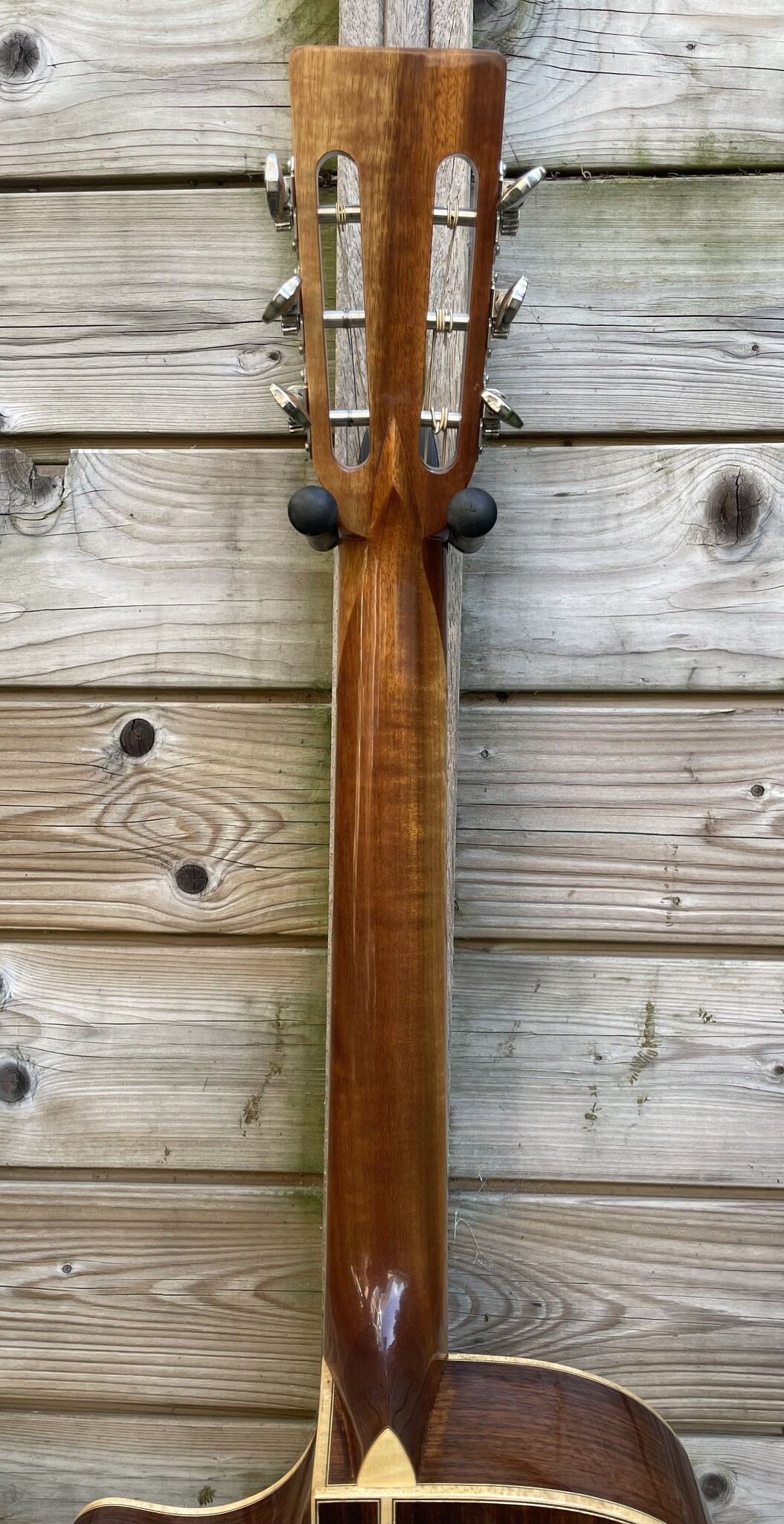 Eastman Eastman AC808CE