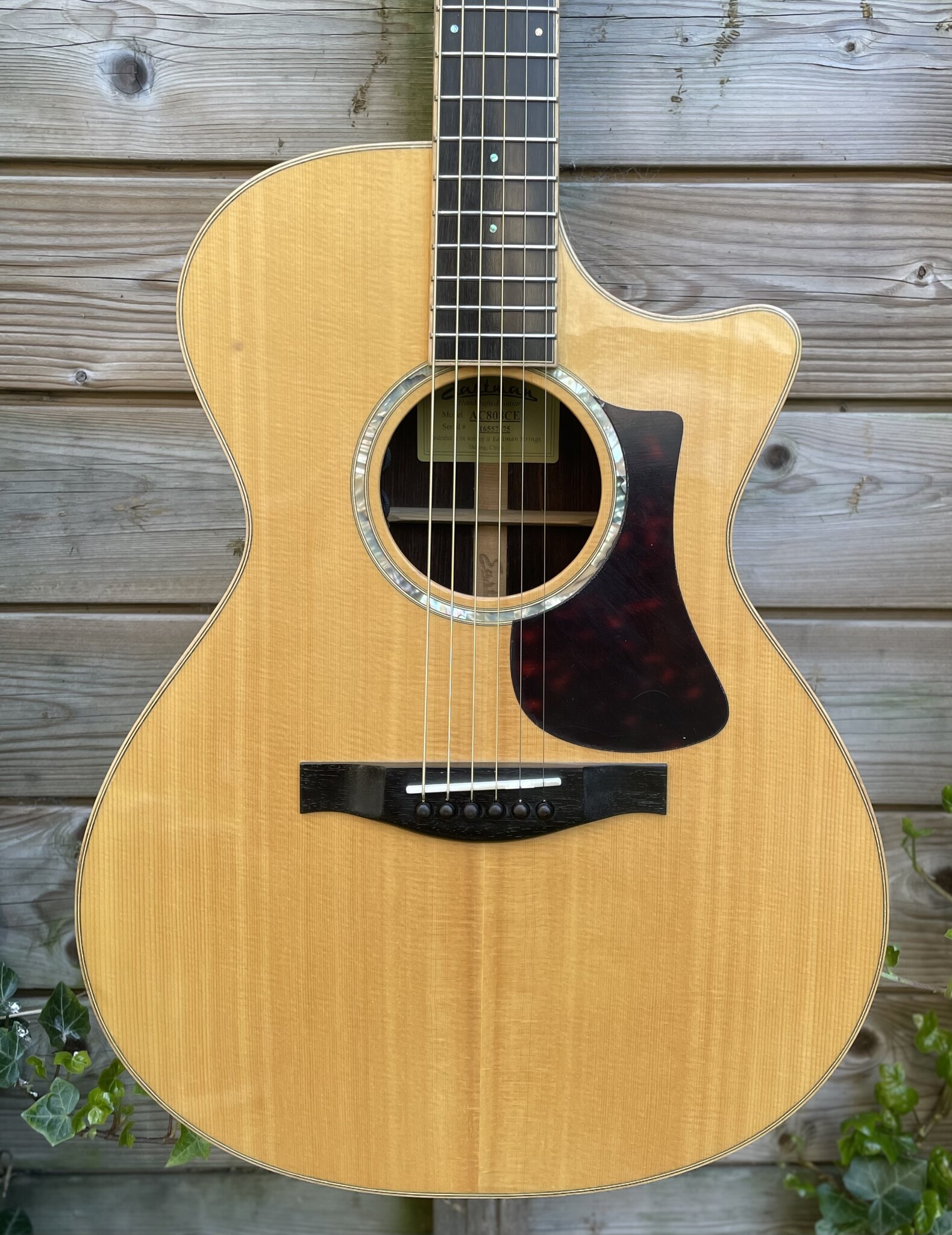 Eastman Eastman AC808CE