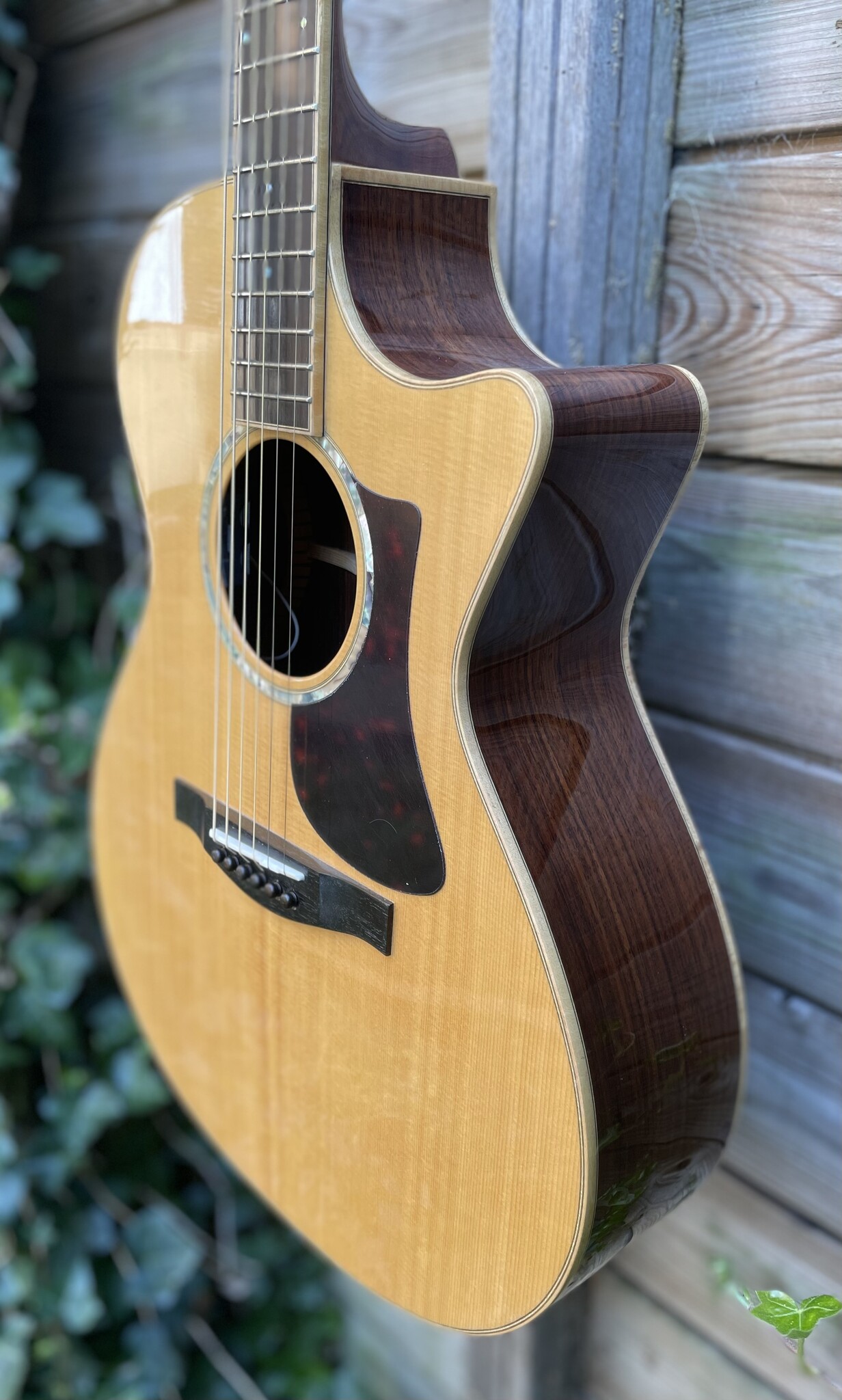 Eastman Eastman AC808CE