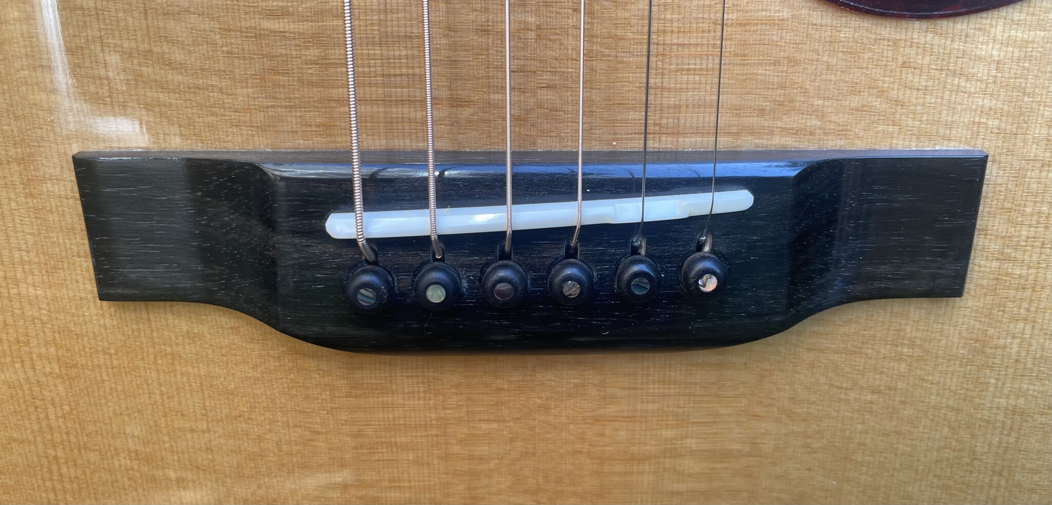 Eastman Eastman E8 OM-TC (#...714)