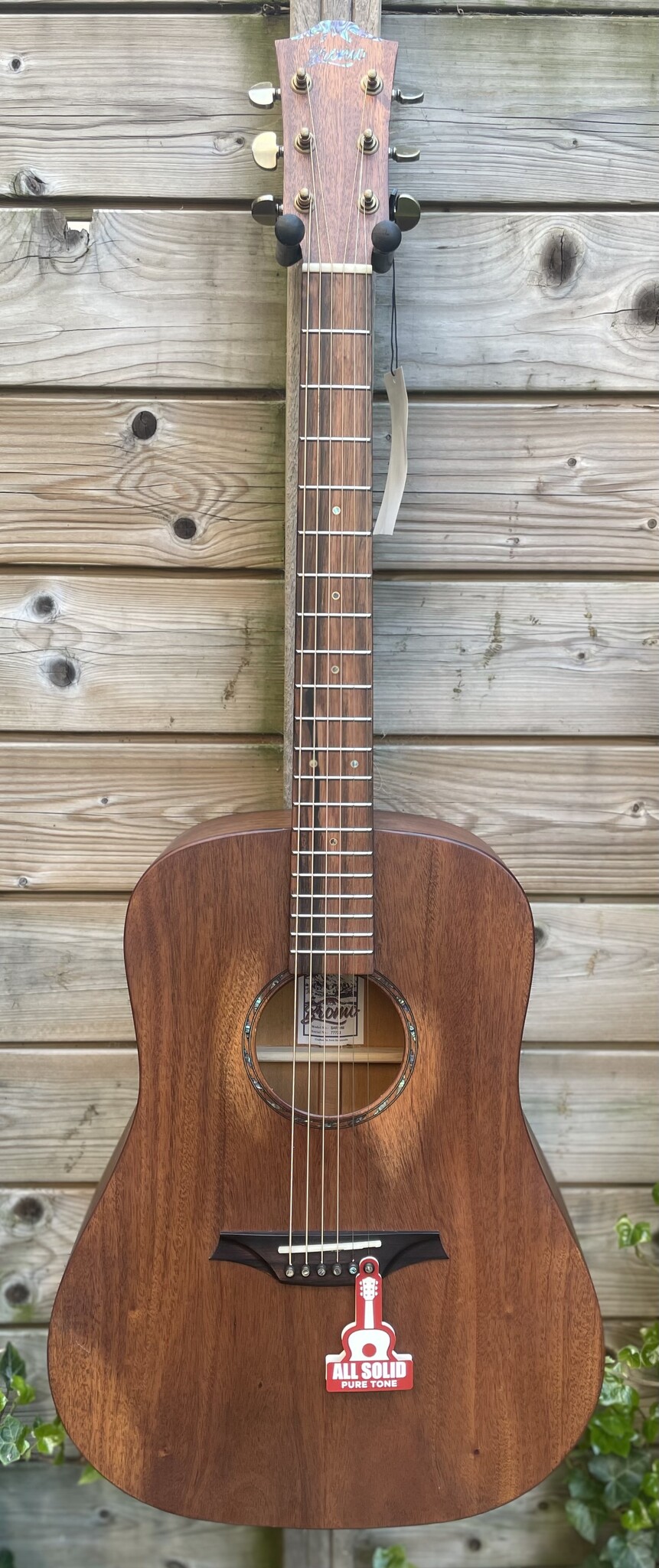 Bromo Bromo Rocky Mountain Series BAR1HM Dreadnought