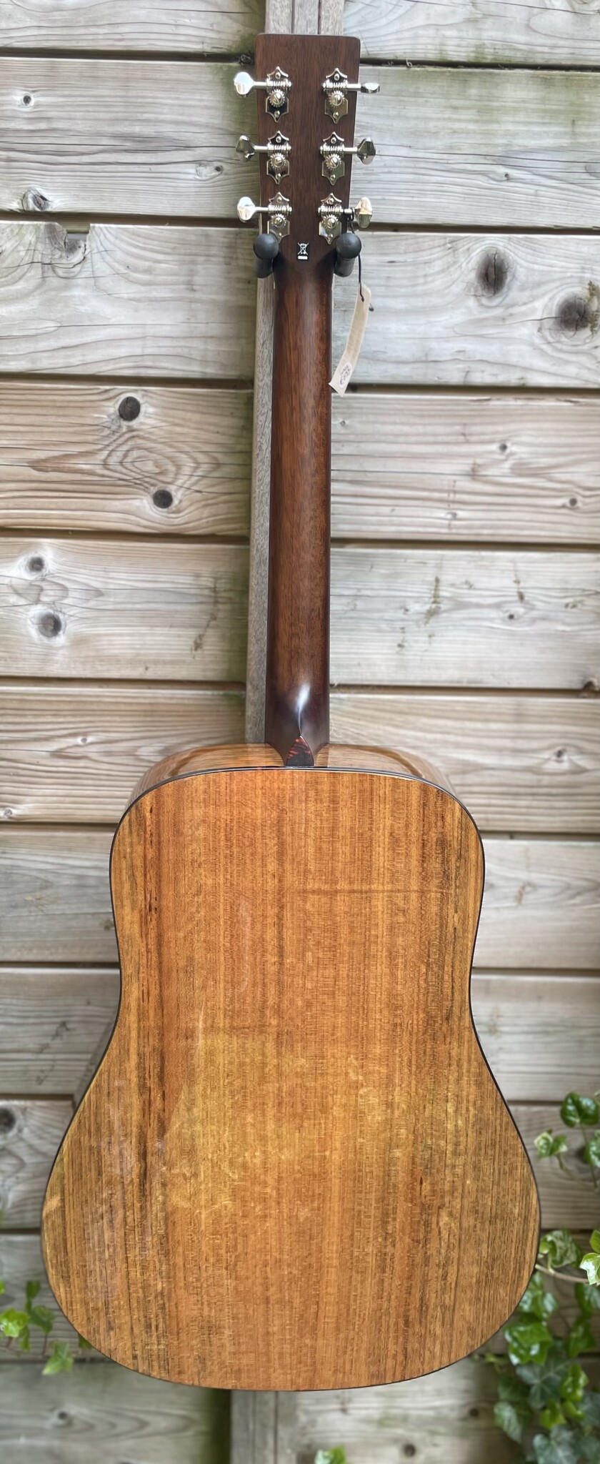 Eastman Eastman E3D-DLX (#...181)