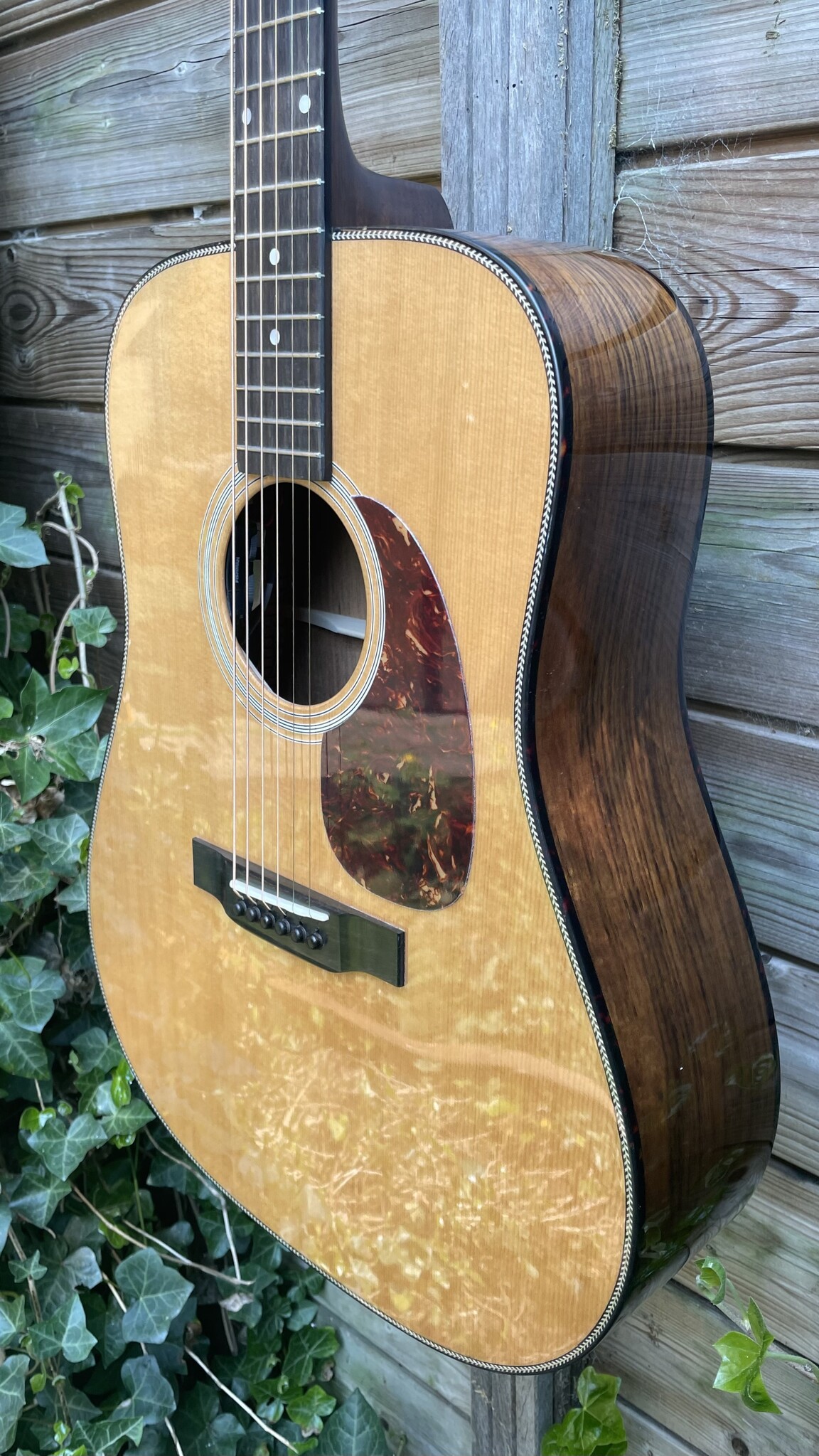Eastman Eastman E3D-DLX (#...181)