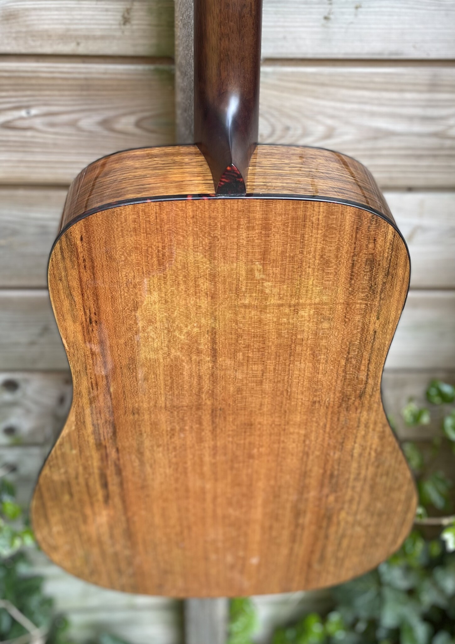 Eastman Eastman E3D-DLX (#...181)