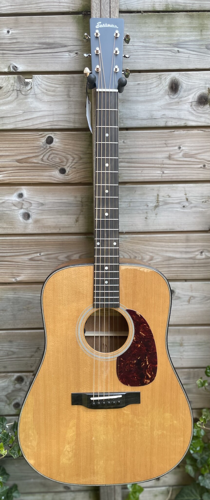 Eastman Eastman E3D-DLX (#...181)