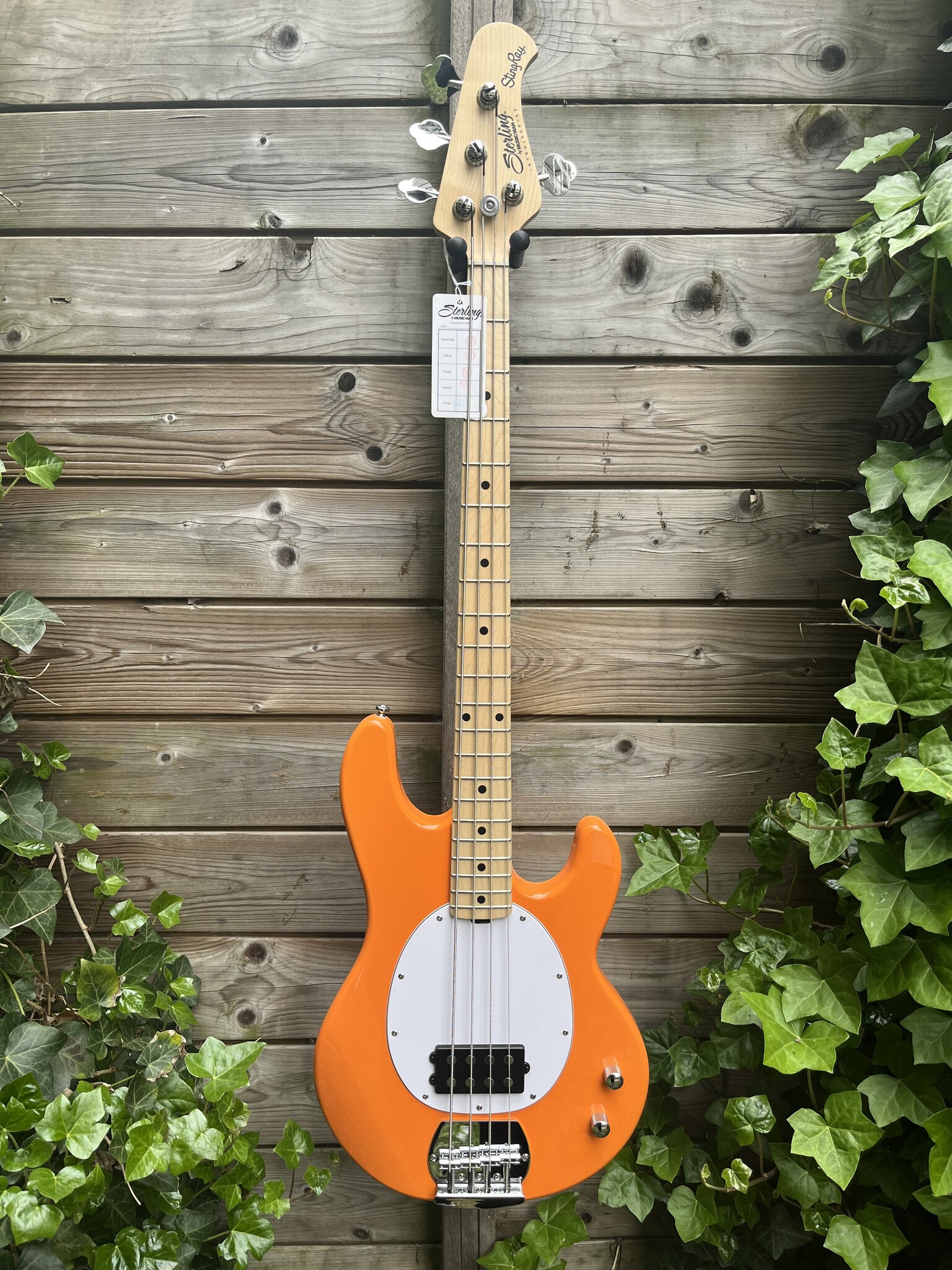 Sterling by Music Man Sterling Music Man StingRay 2 Sunrise Orange