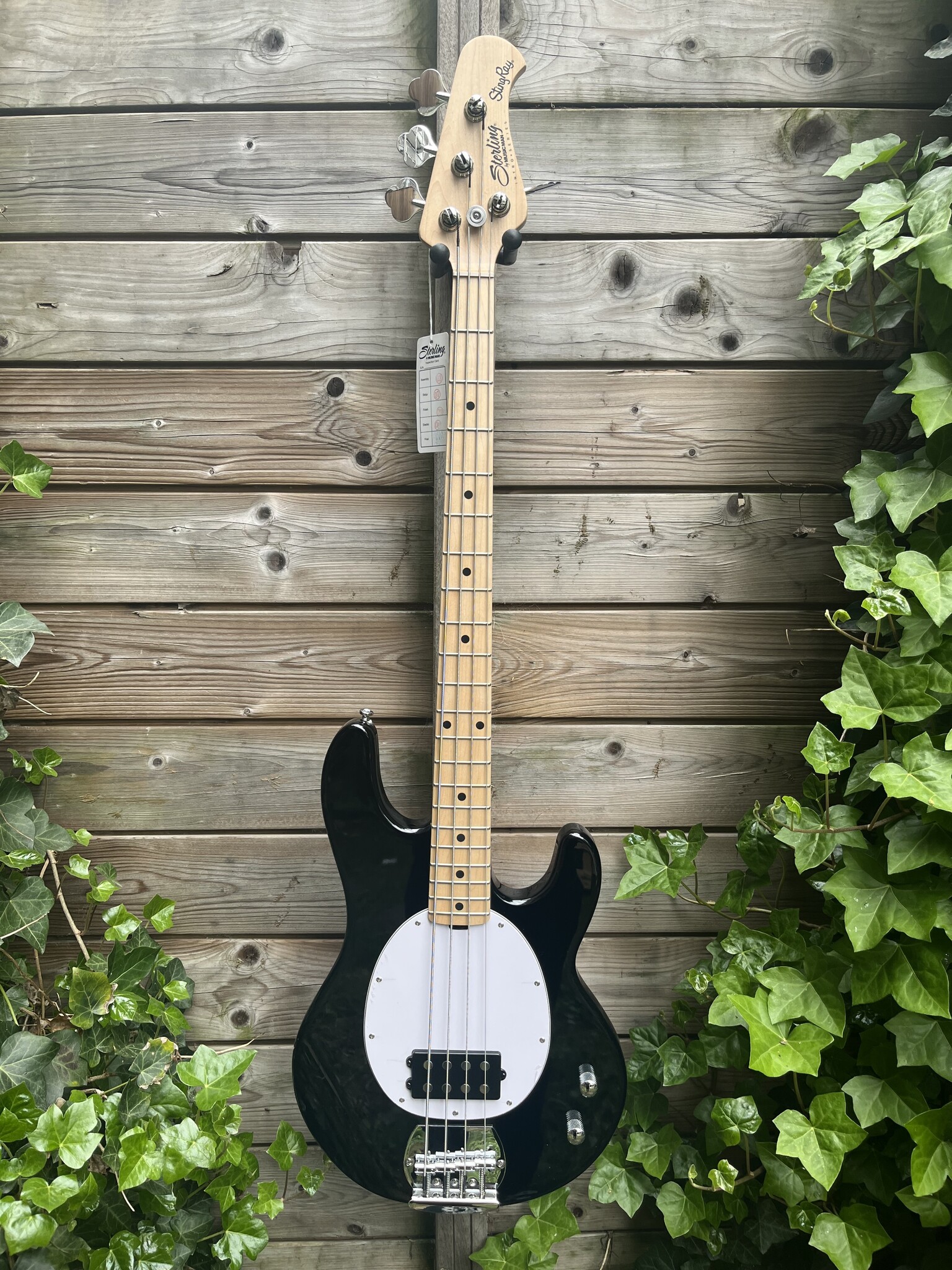 Sterling by Music Man Sterling Music Man StingRay2 Black