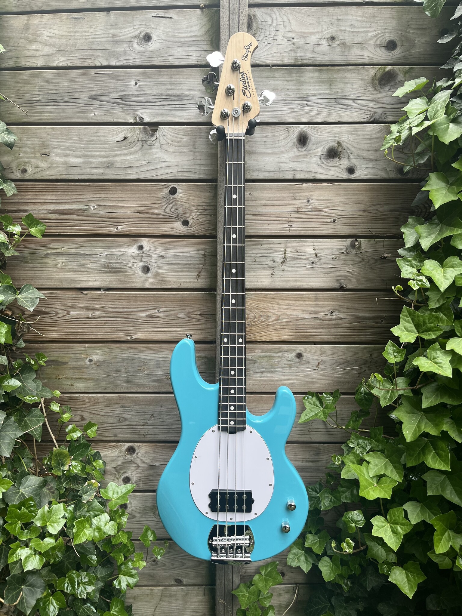 Sterling by Music Man Sterling Music Man StingRay2 Electric Blue