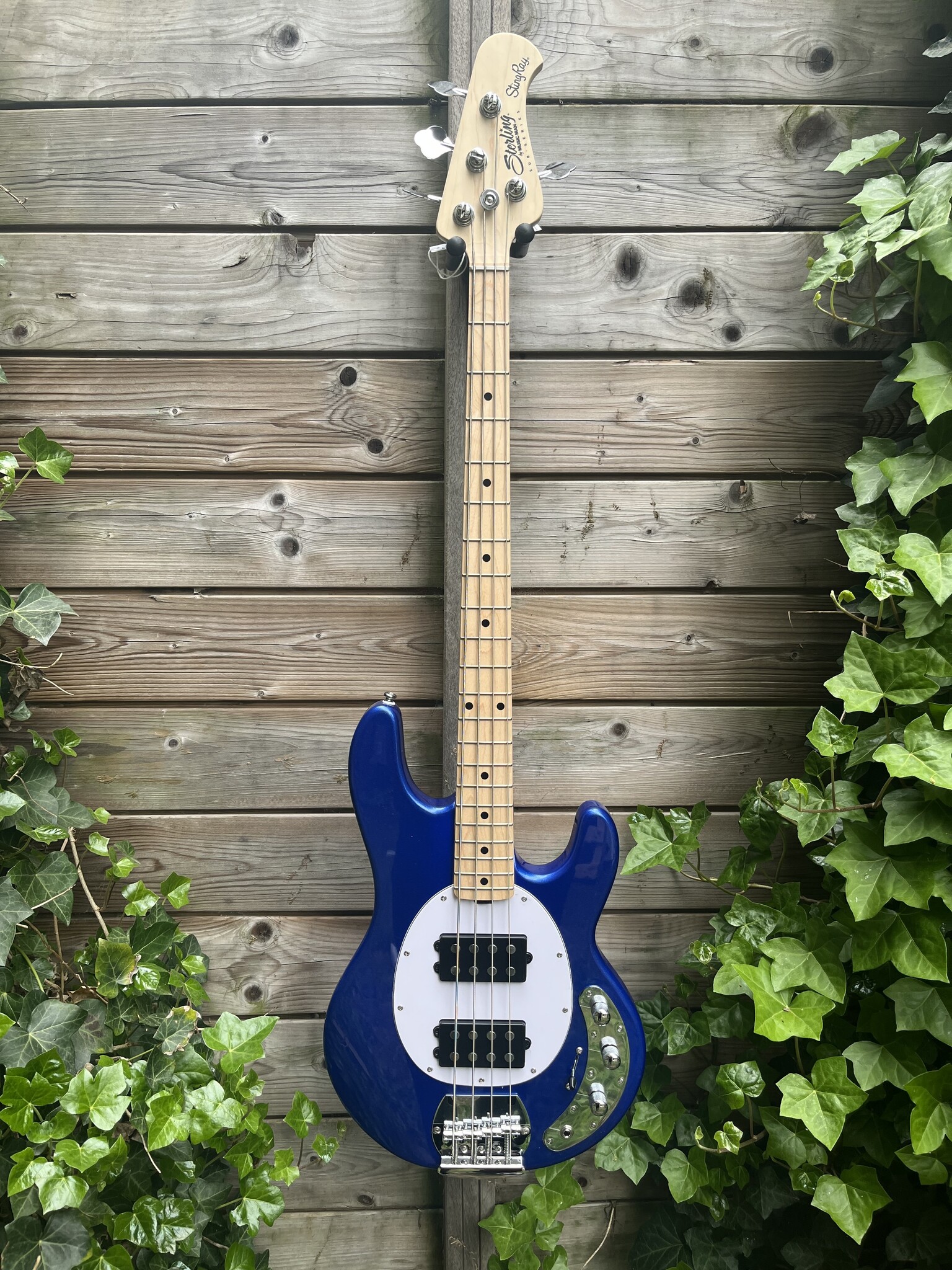 Sterling by Music Man Sterling Music Man StingRay 4 HH Cobra Blue