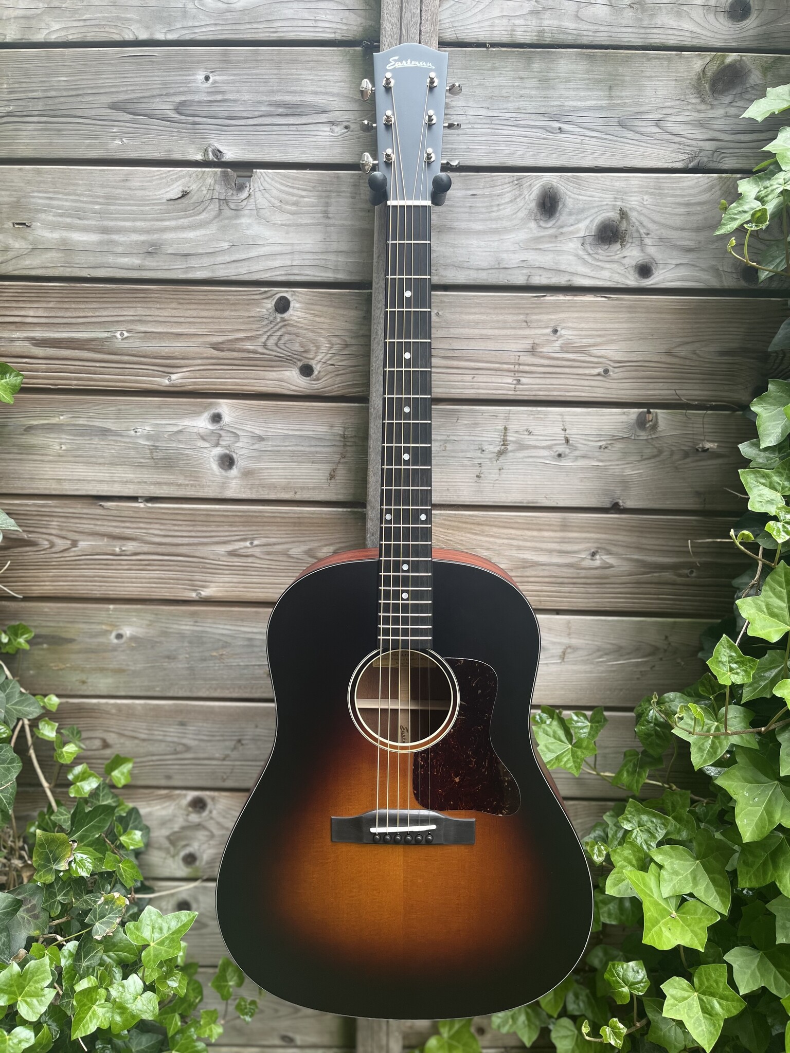 Eastman Eastman E1 SS-SB