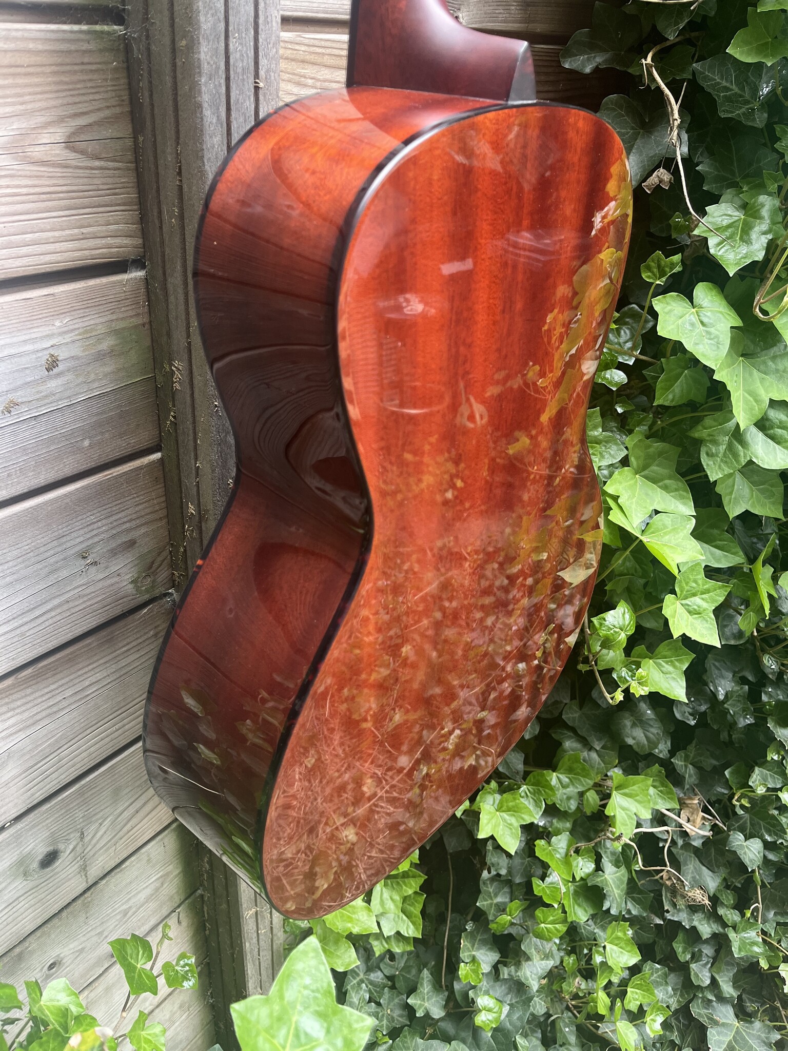 Eastman Eastman E1-00-SS-DLX Sunburst