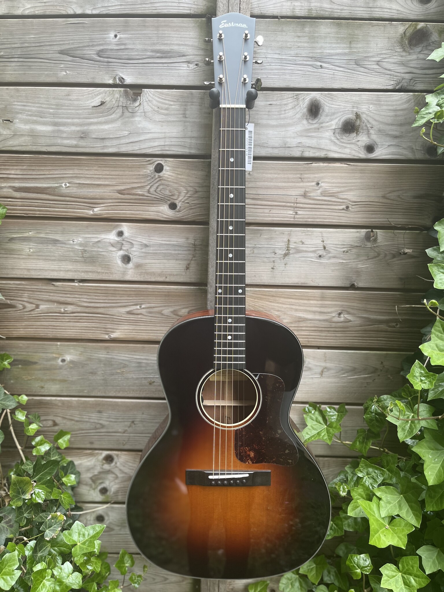 Eastman Eastman E1-00-SS-DLX Sunburst