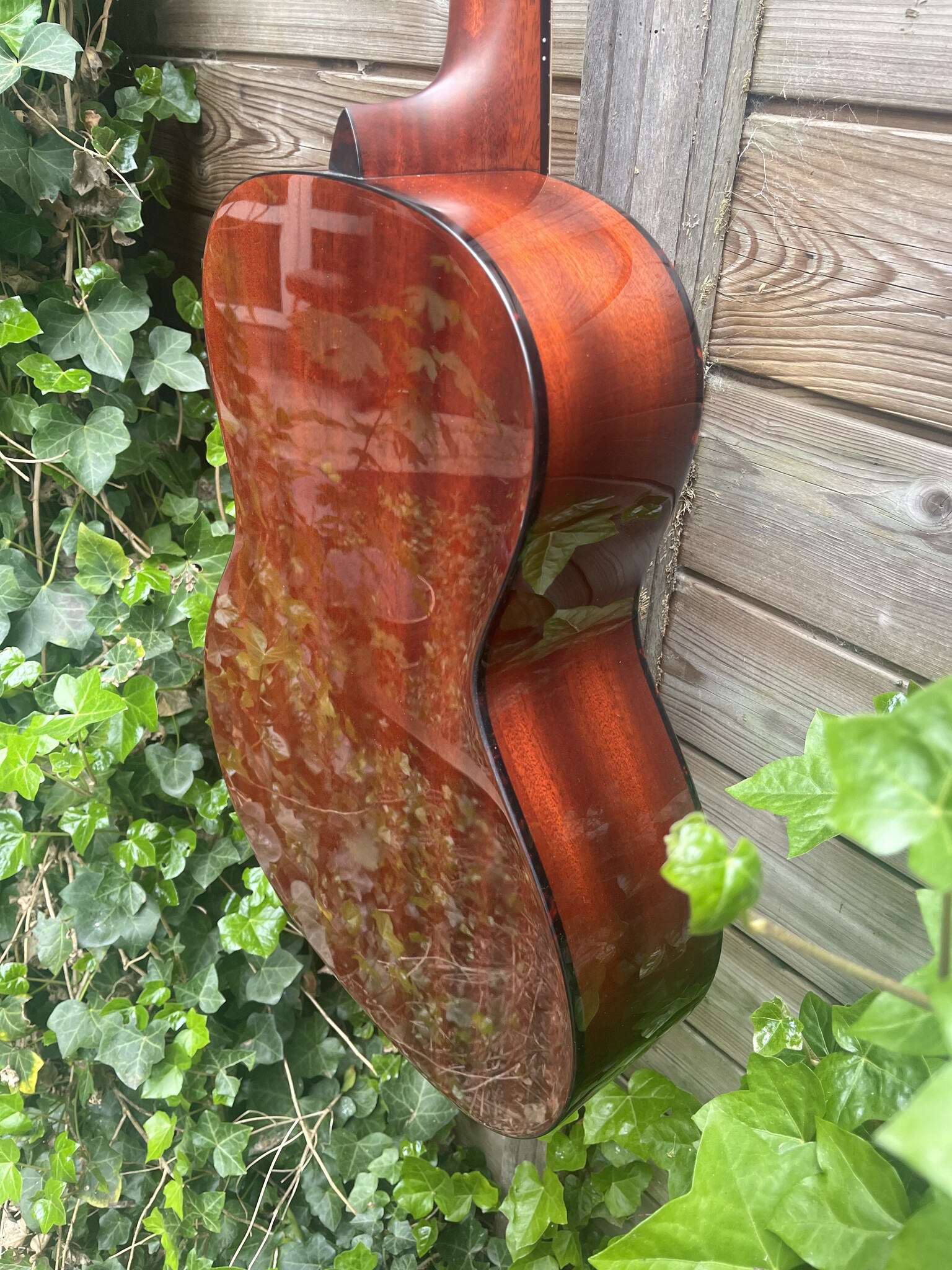 Eastman Eastman E1-00-SS-DLX Sunburst