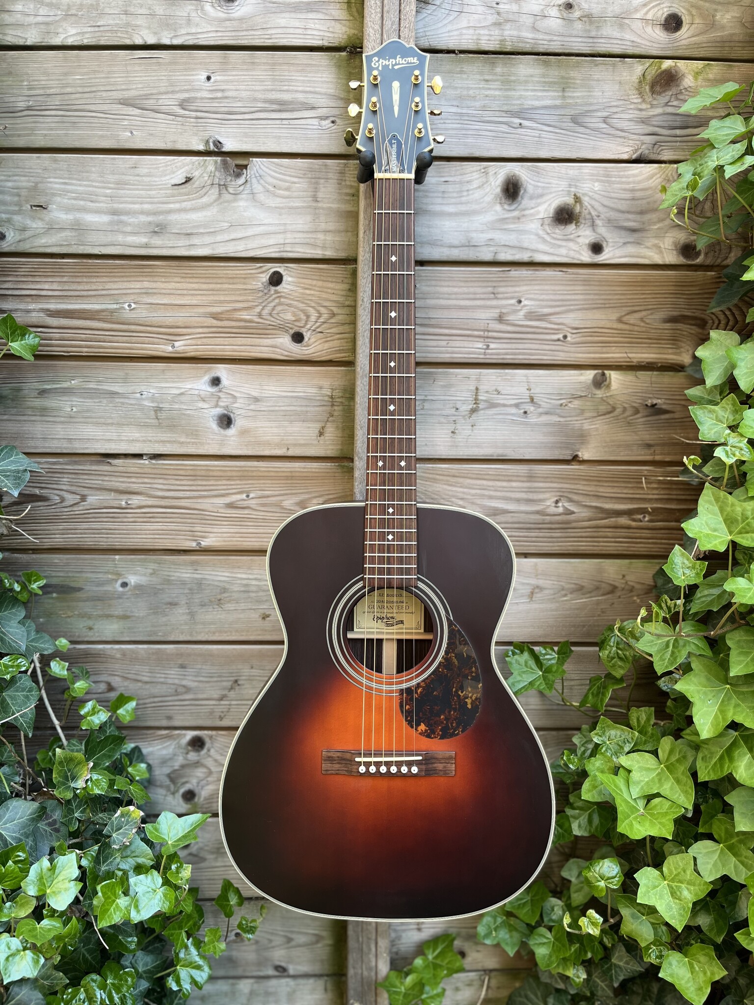 Epiphone Epiphone Masterbilt EF-500RVS