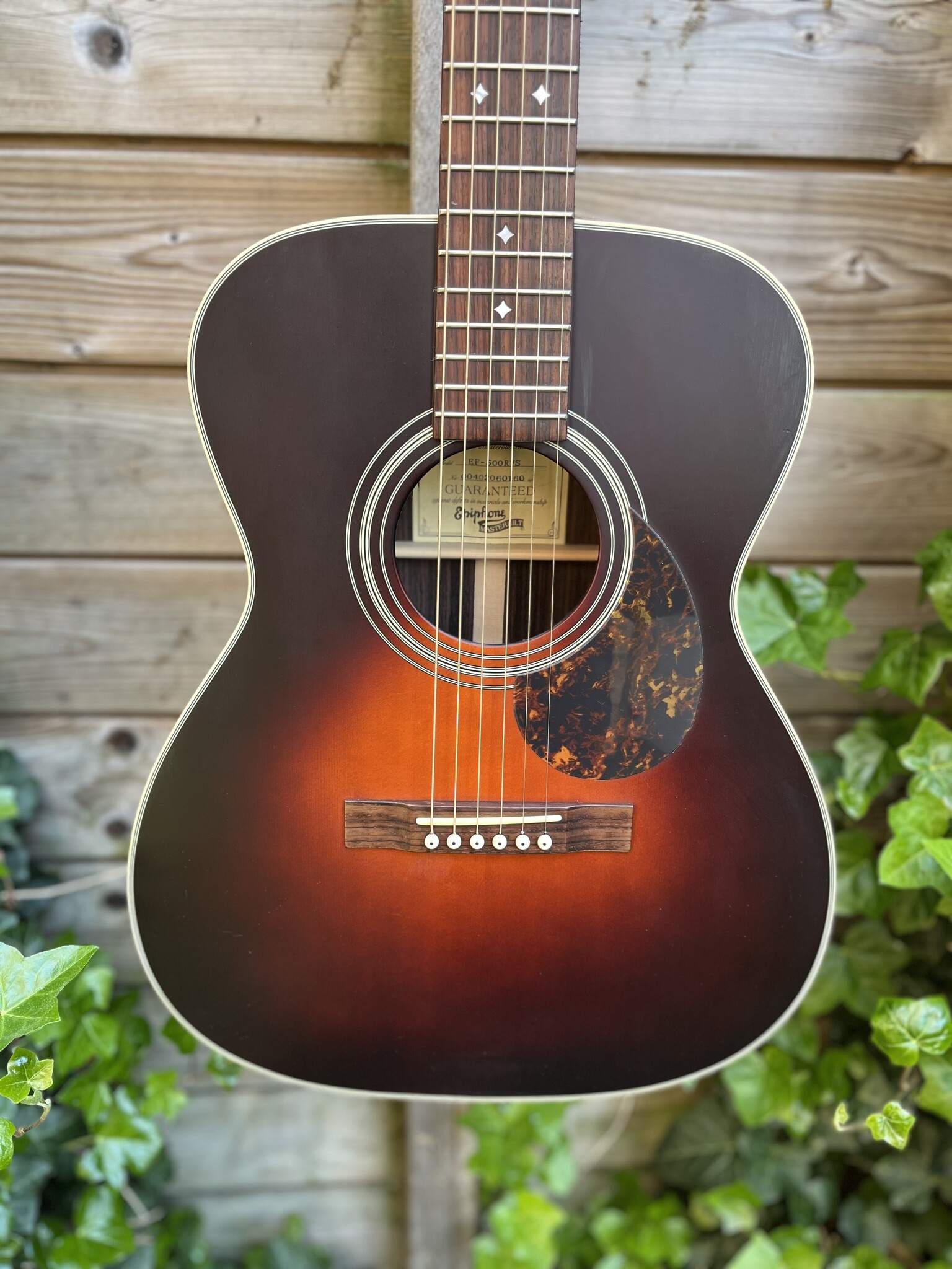 Epiphone Epiphone Masterbilt EF-500RVS