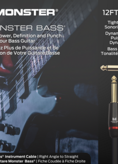 Monster Cable Monster Cable Bass Pro 12ft S/A straight/angled