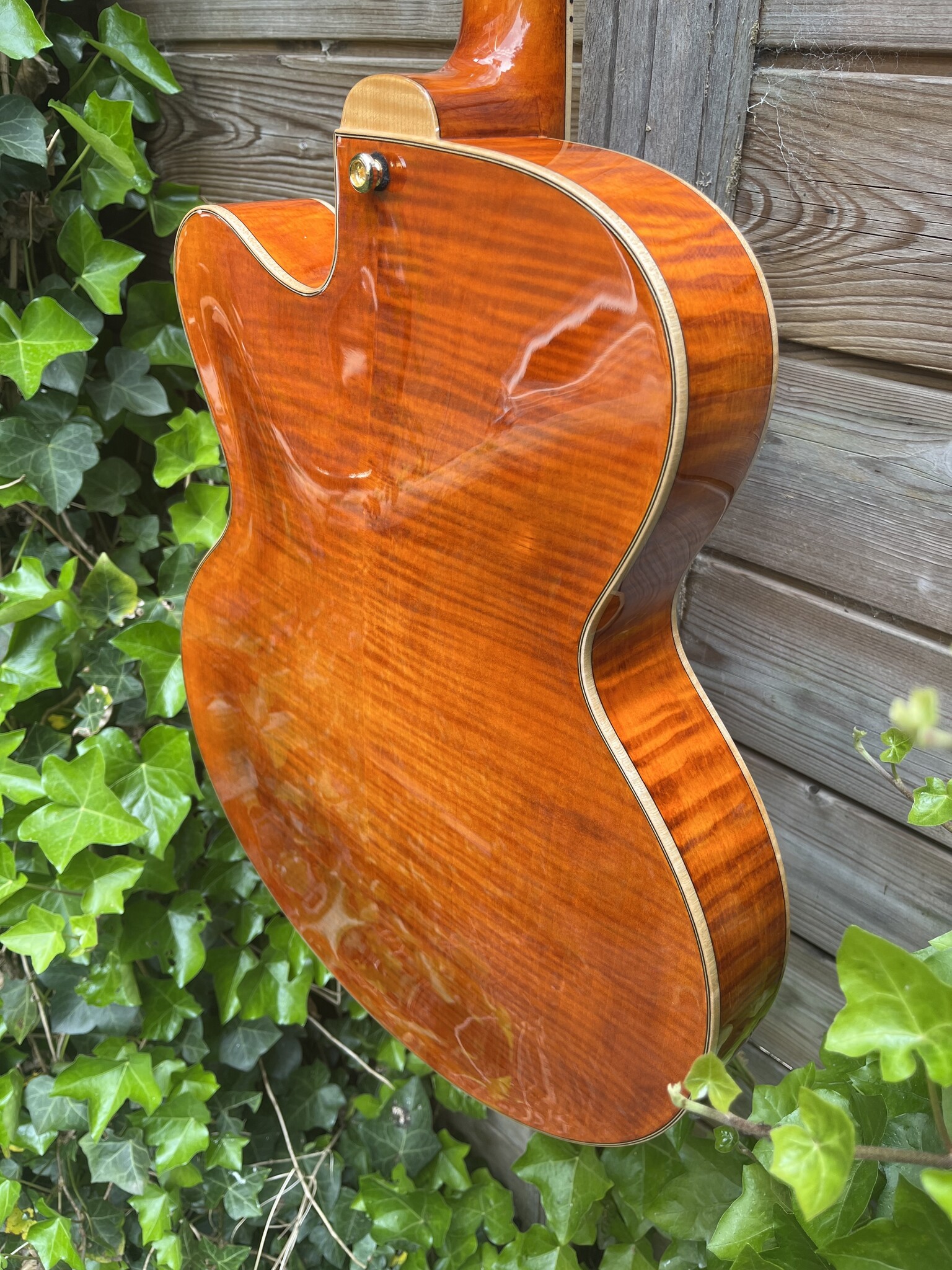 Eastman Eastman AR580CE Honeyburst