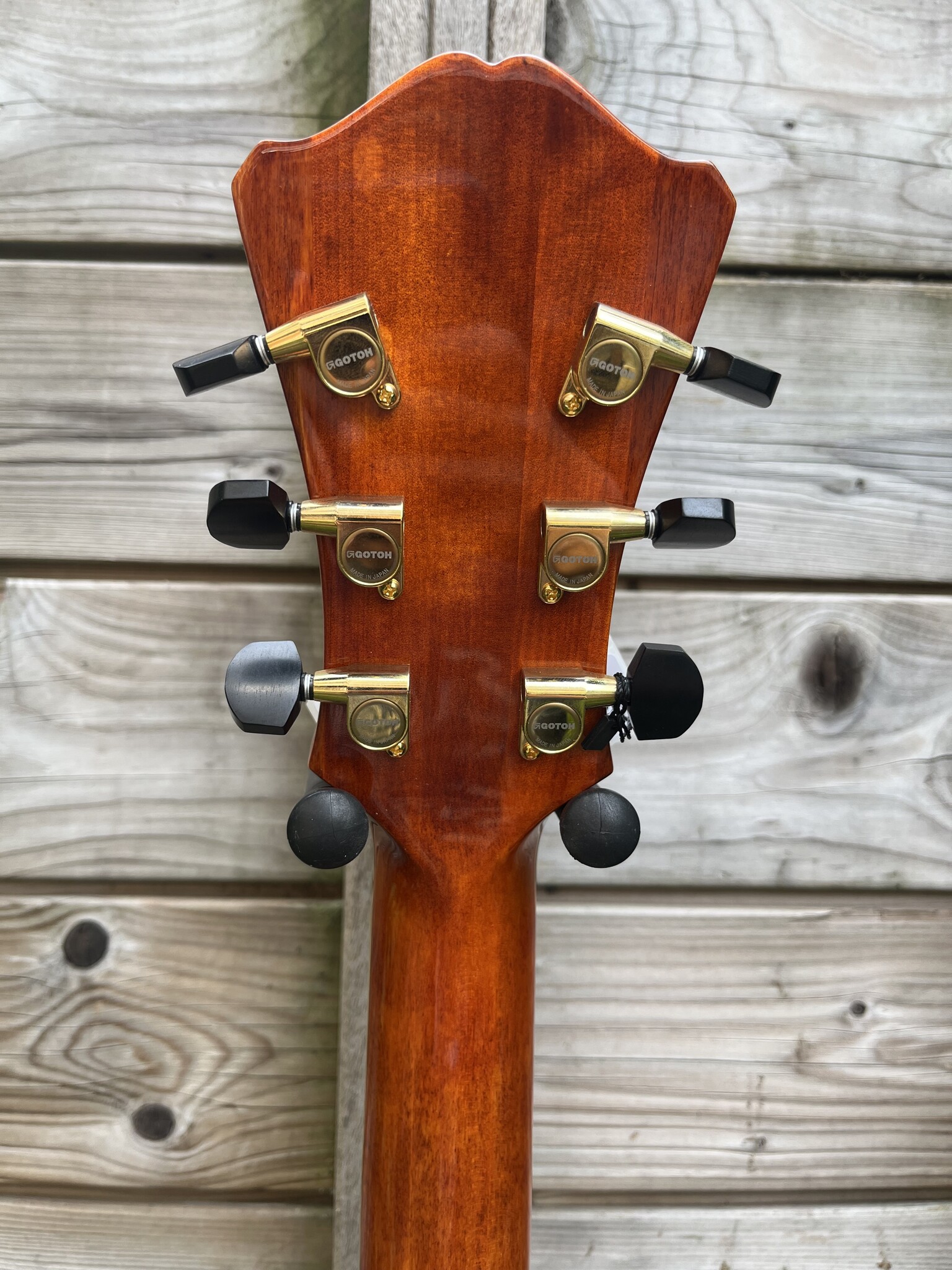 Eastman Eastman AR580CE Honeyburst