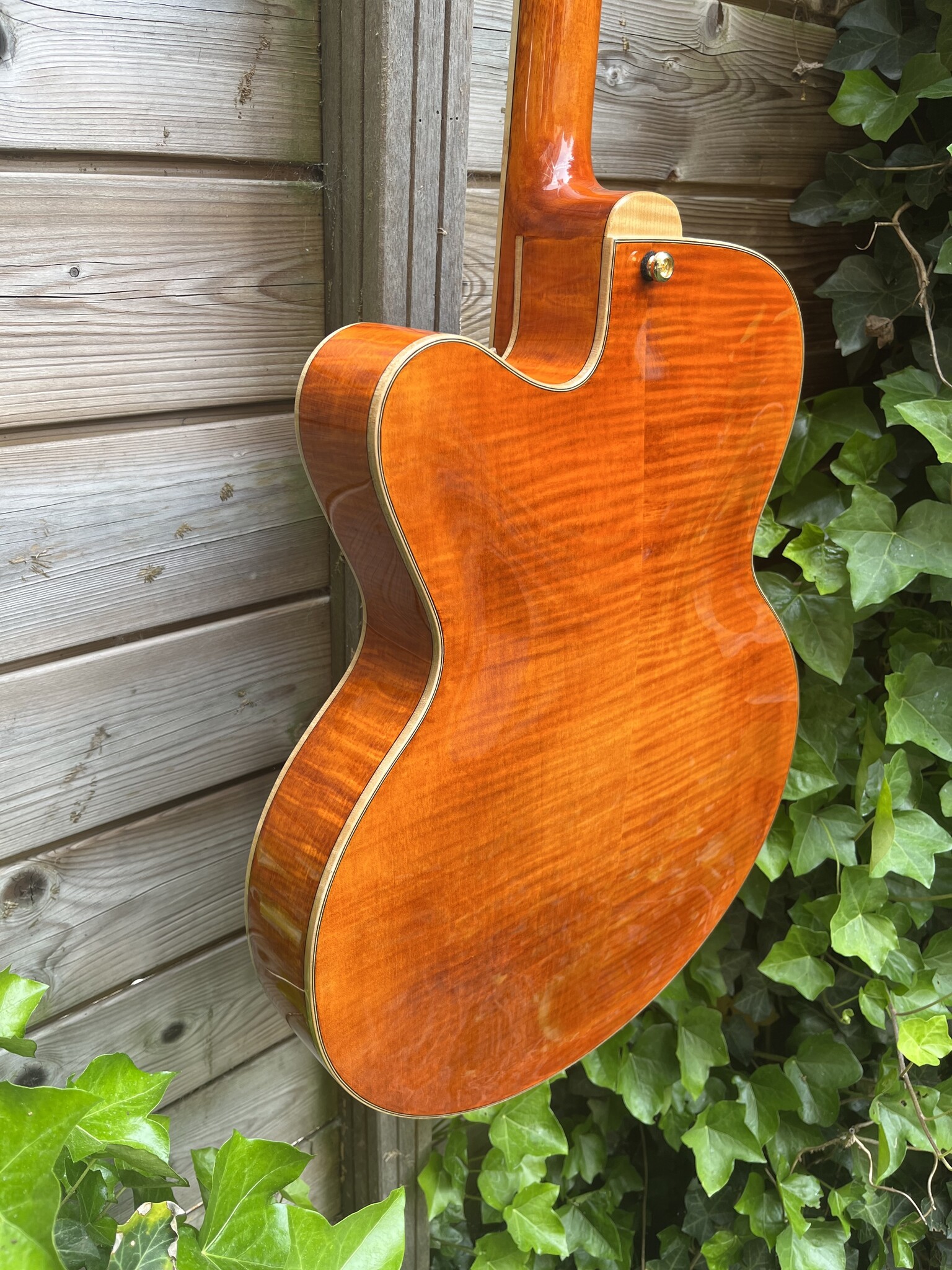 Eastman Eastman AR580CE Honeyburst