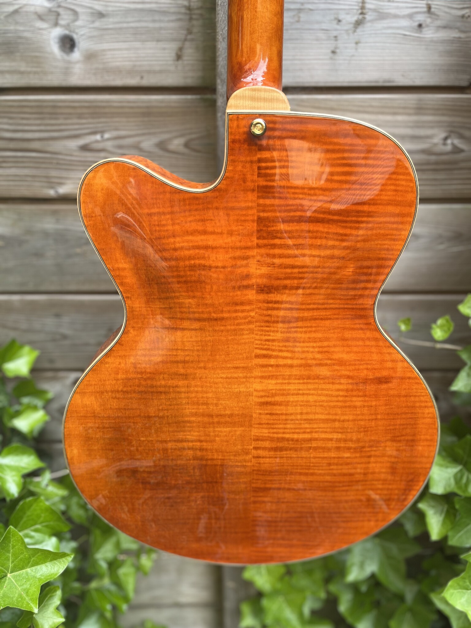 Eastman Eastman AR580CE Honeyburst
