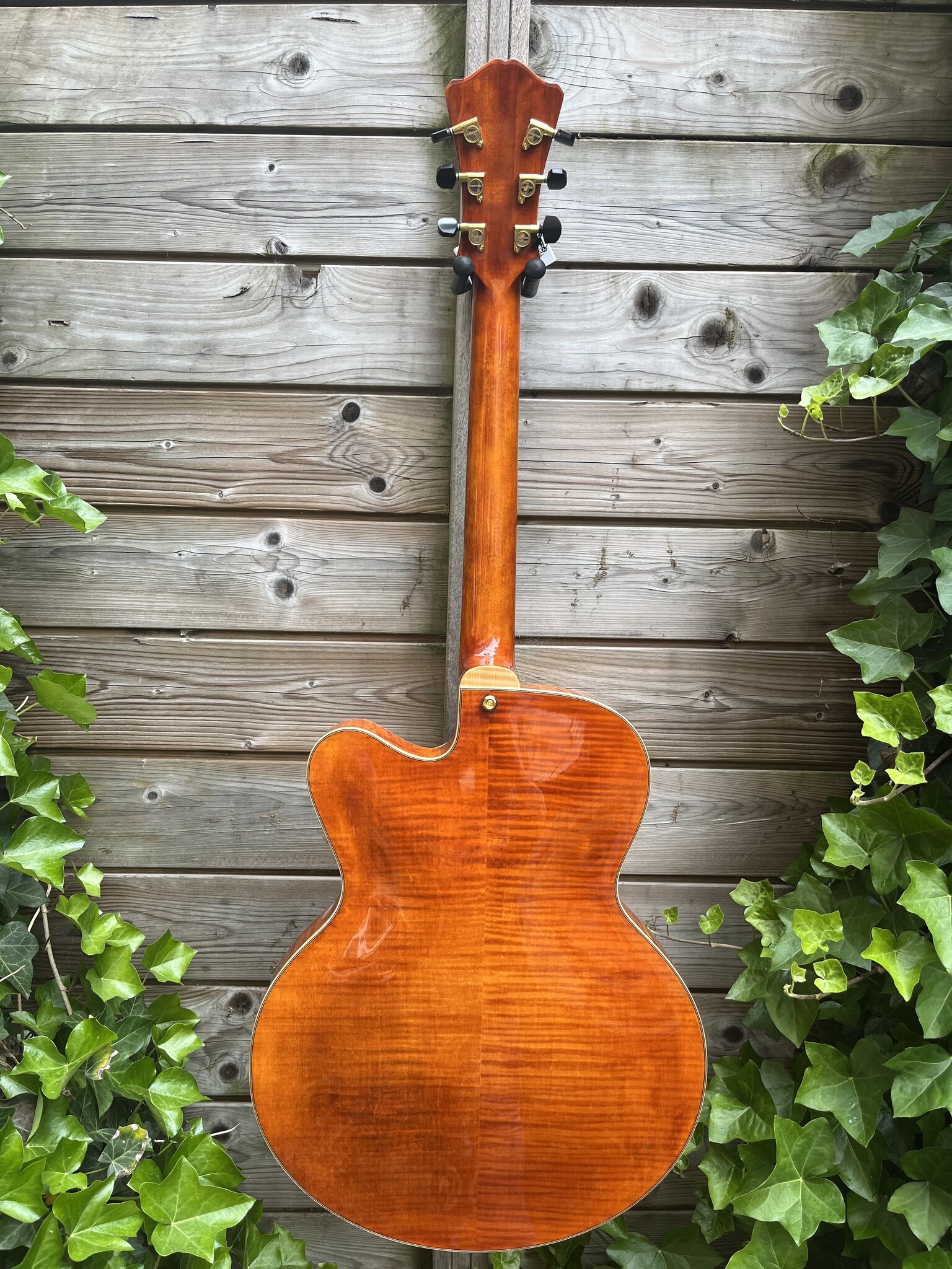 Eastman Eastman AR580CE Honeyburst