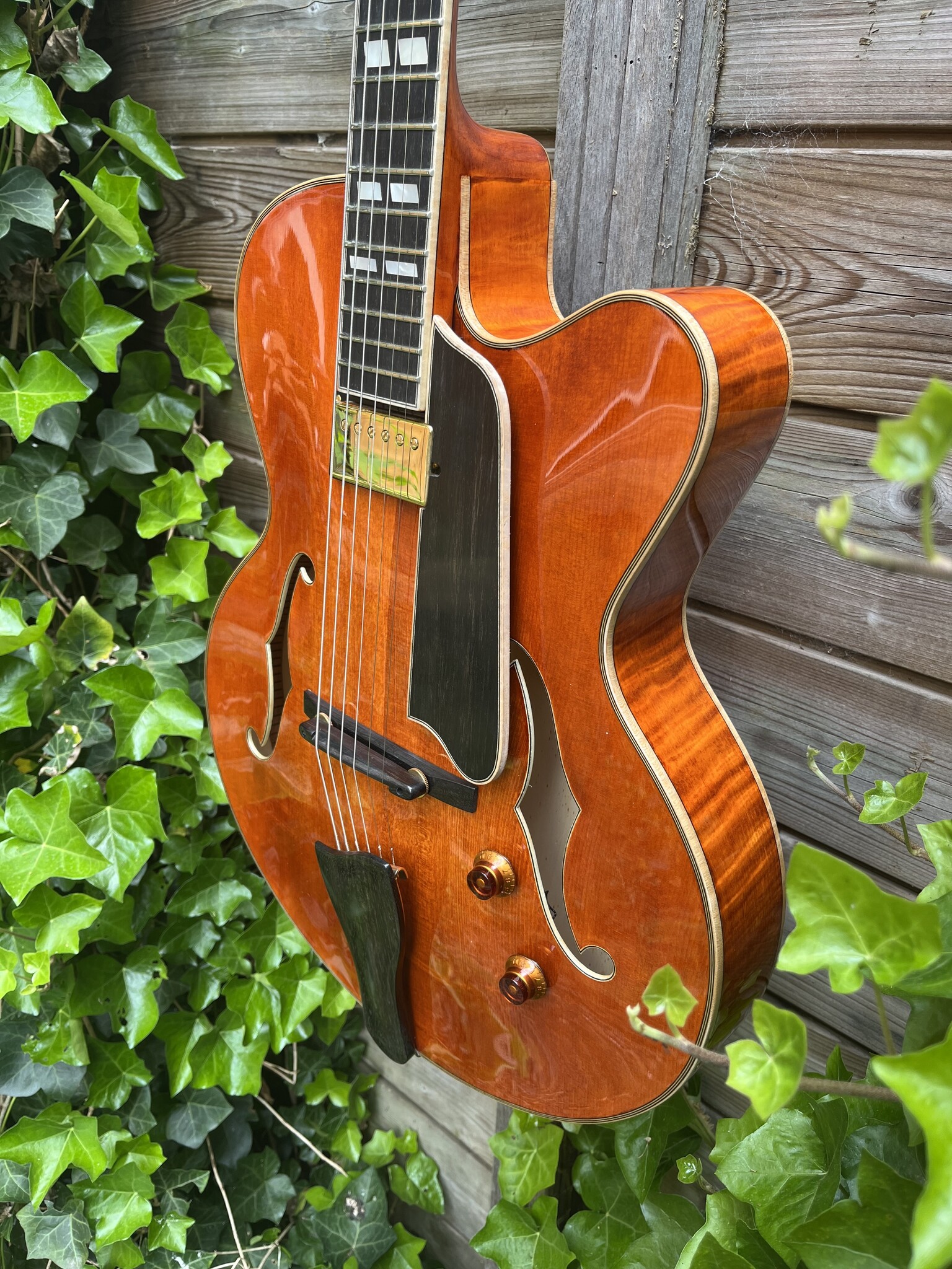 Eastman Eastman AR580CE Honeyburst