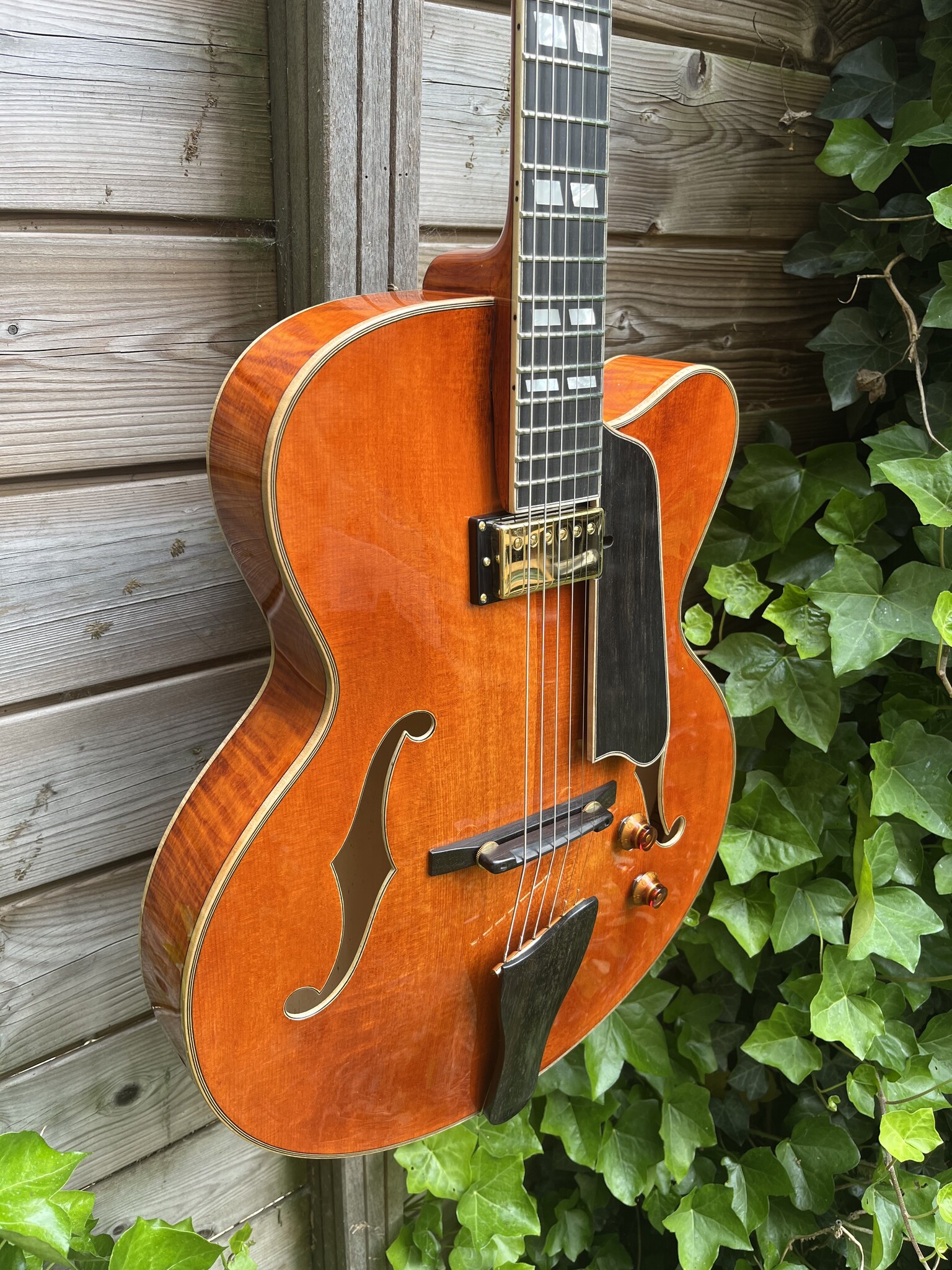 Eastman Eastman AR580CE Honeyburst