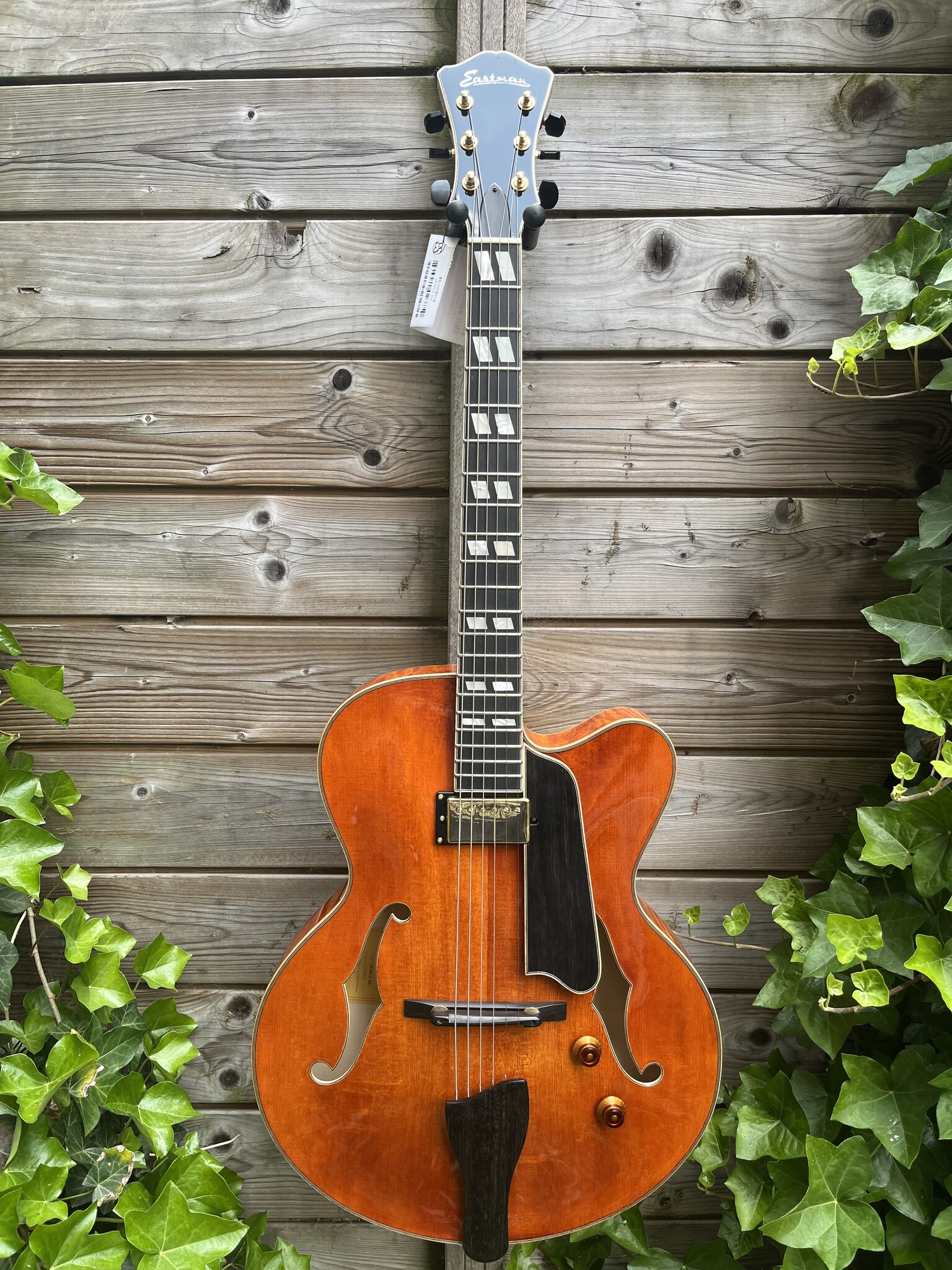 Eastman Eastman AR580CE Honeyburst