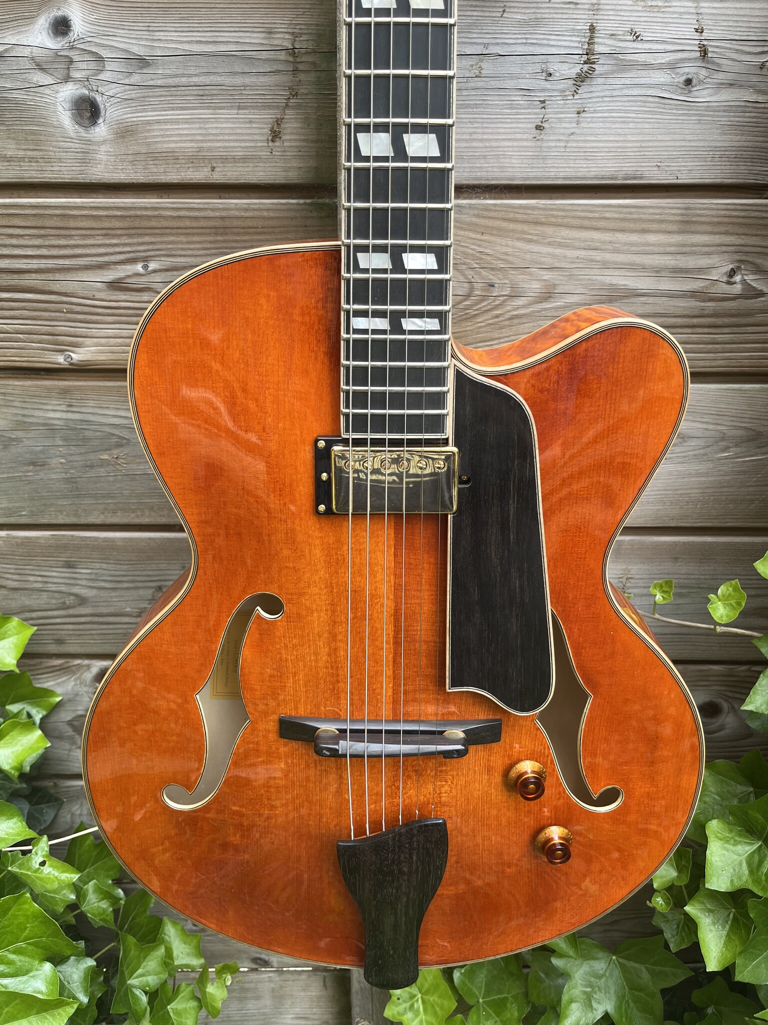 Eastman Eastman AR580CE Honeyburst