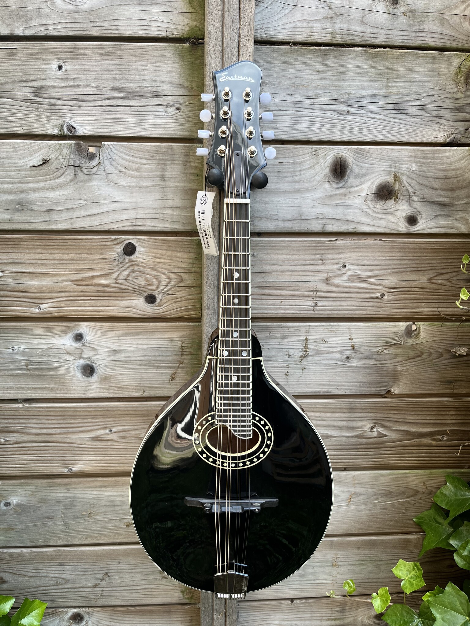 Eastman Eastman MD404-BK (#...856)