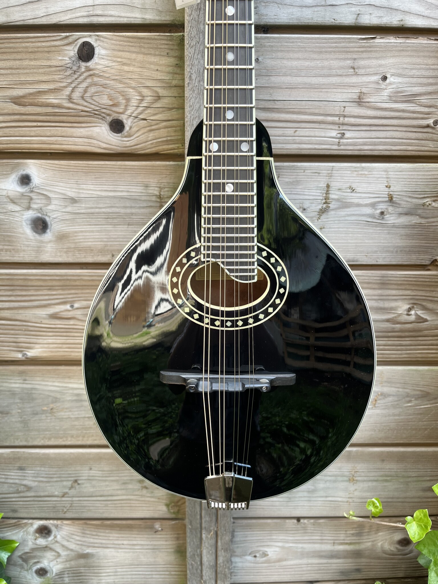 Eastman Eastman MD404-BK (#...856)