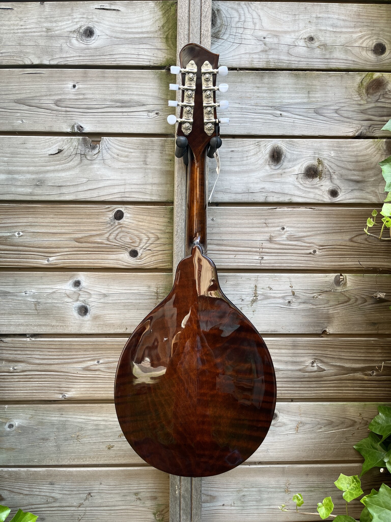 Eastman Eastman MD404-BK (#...856)