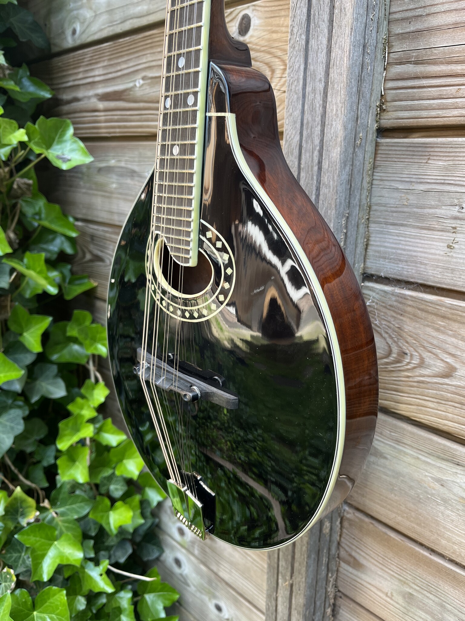 Eastman Eastman MD404-BK (#...856)